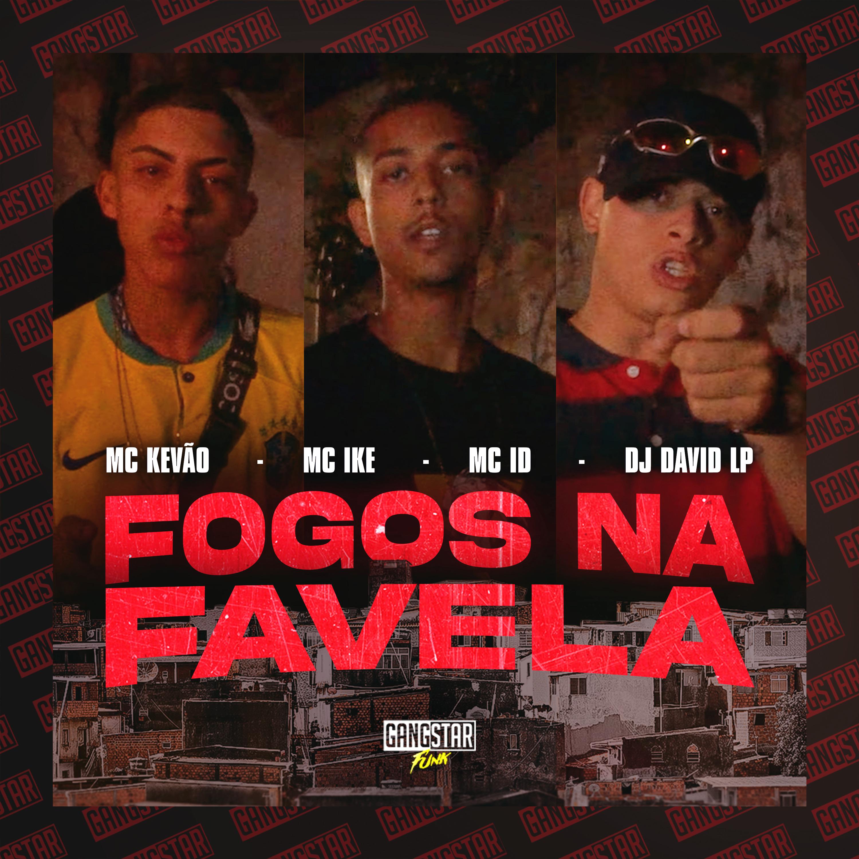 Постер альбома Fogos na Favela