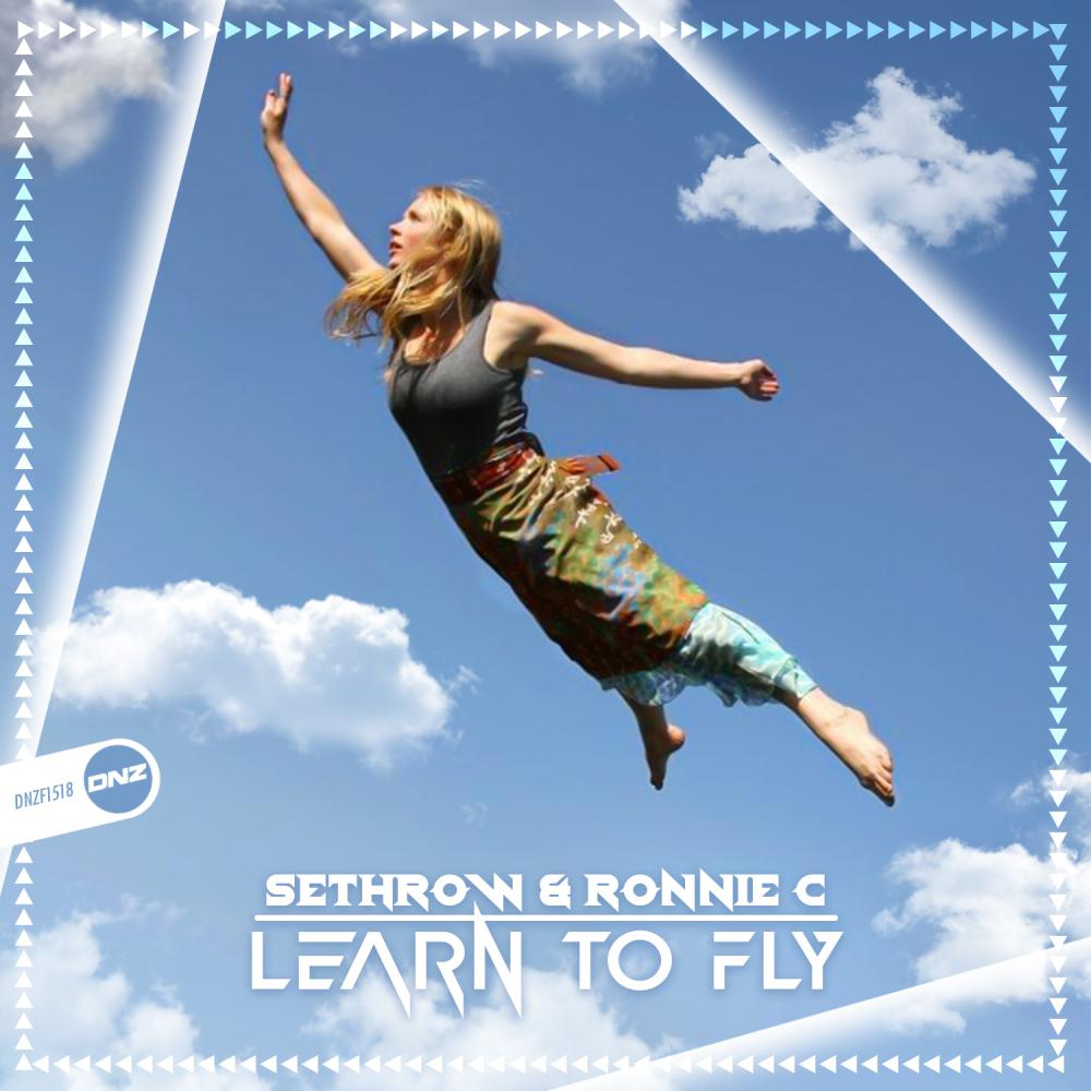 Постер альбома Learn To Fly