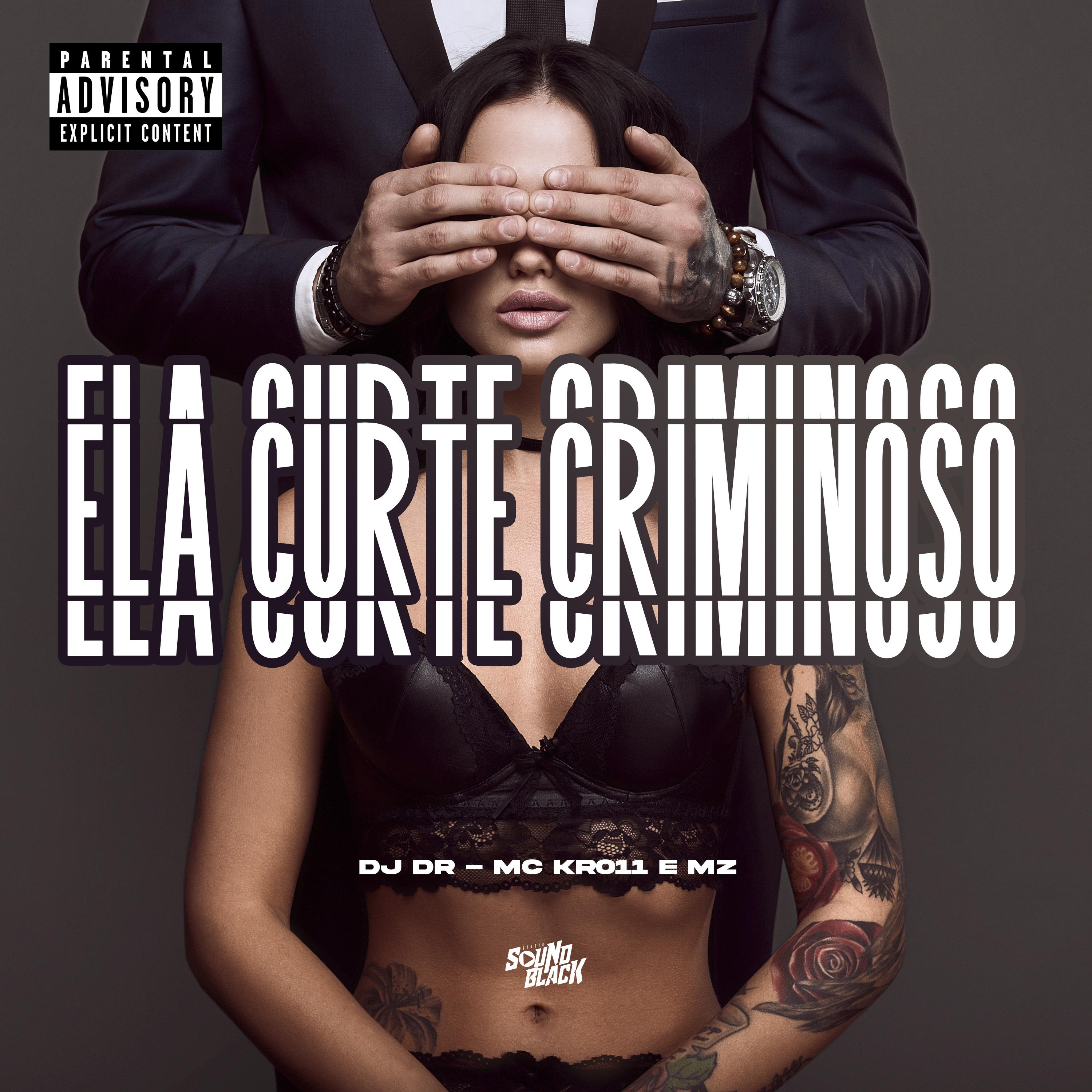 Постер альбома Ela Curte Criminoso