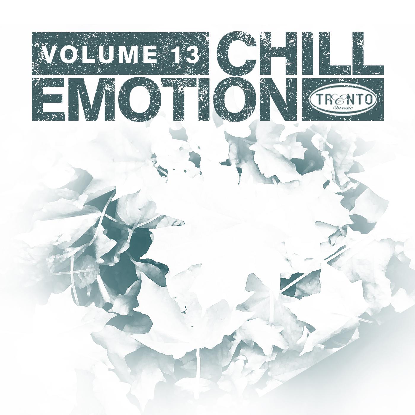 Постер альбома ChillEmotion, Vol. 13