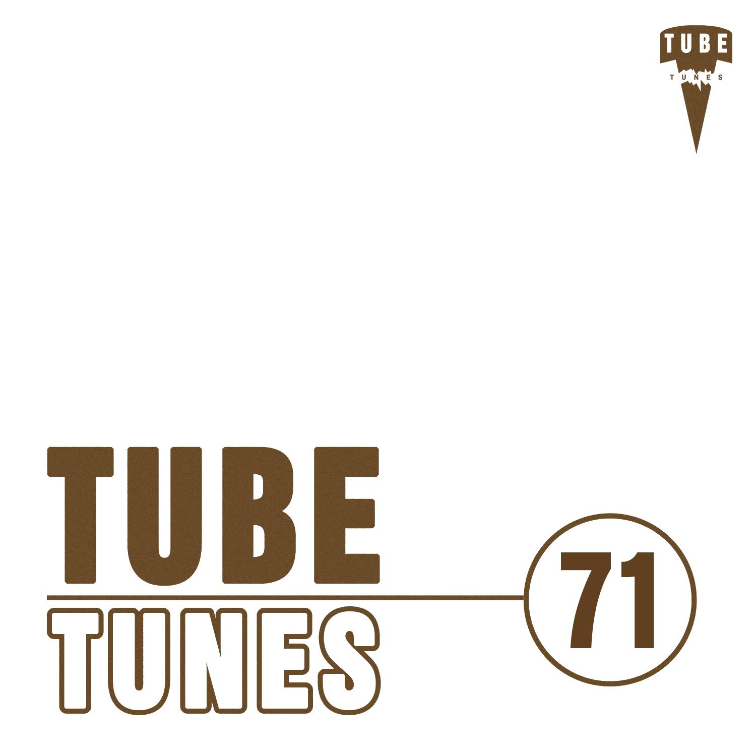 Постер альбома Tube Tunes, Vol. 71