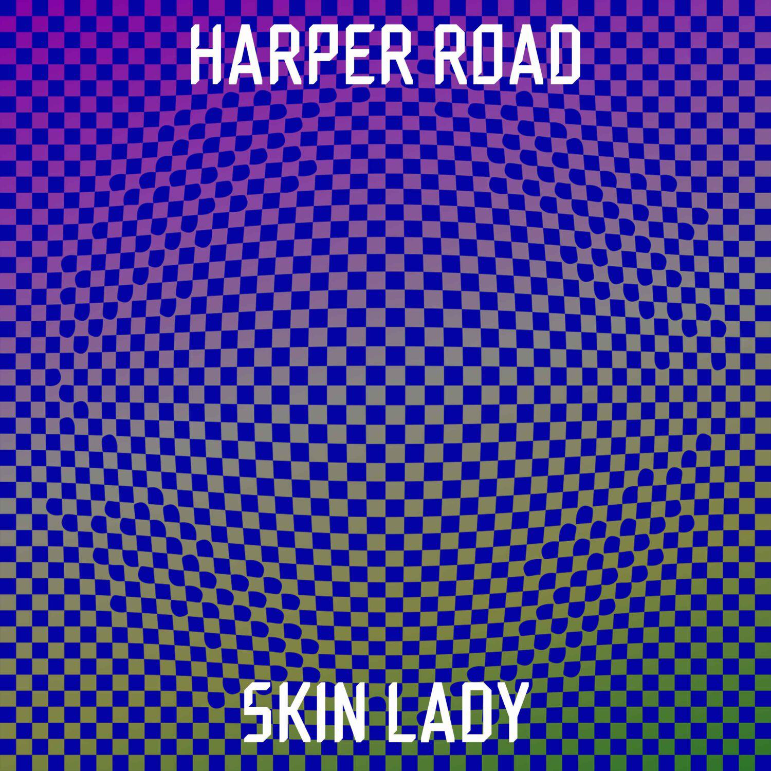 Постер альбома Skin Lady