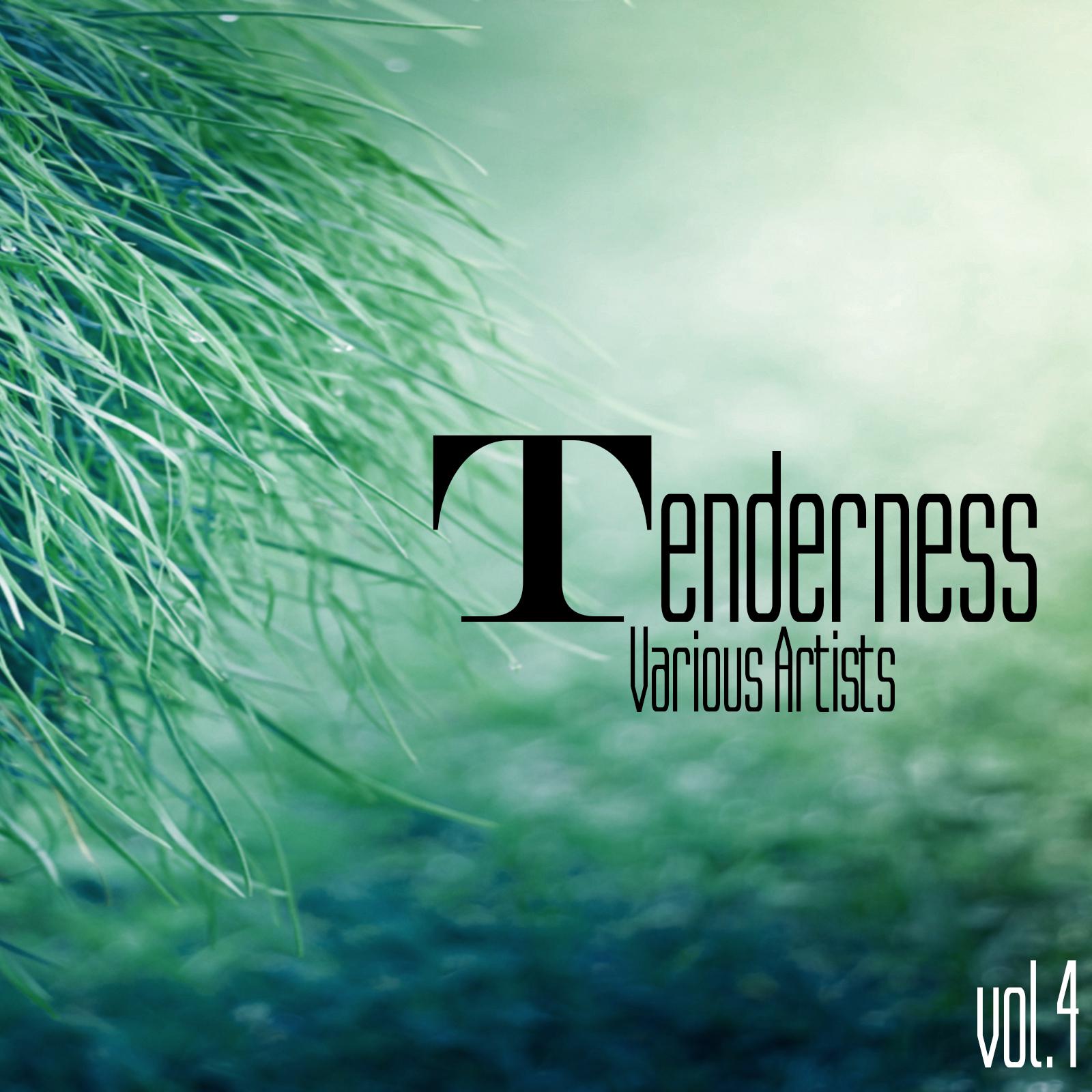 Постер альбома Tenderness, Vol. 4