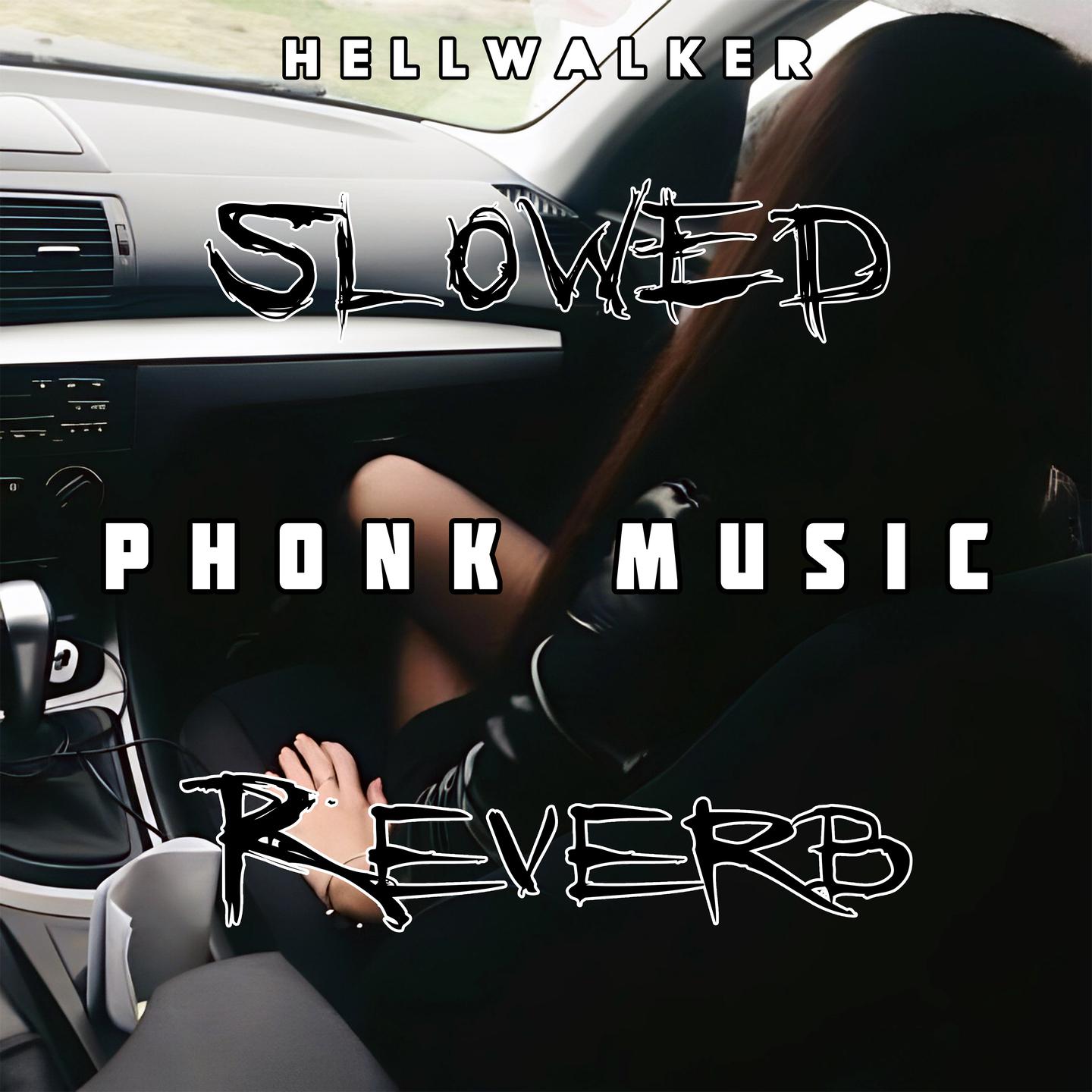 Постер альбома Phonk Music (Slowed and Reverb)