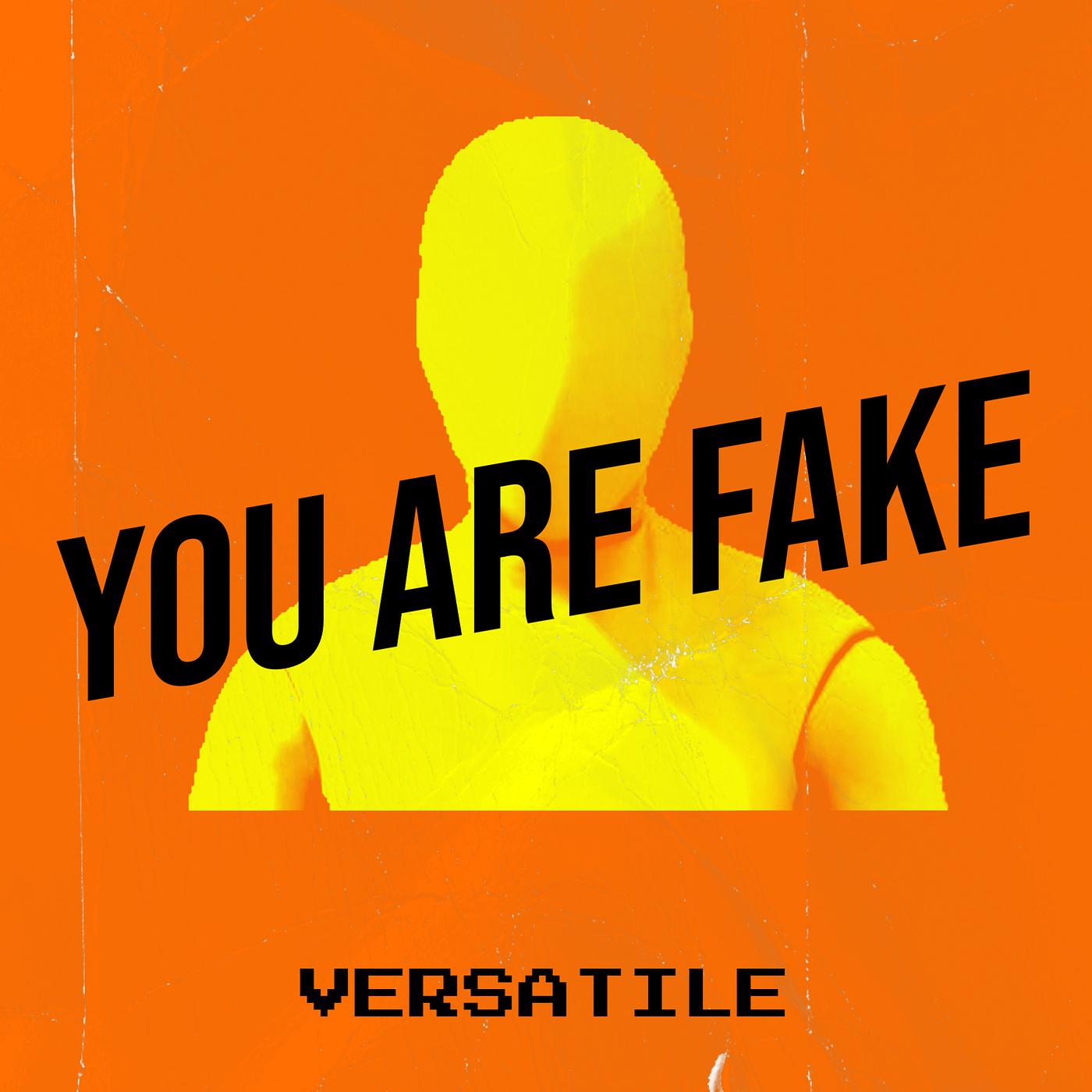 Постер альбома You Are Fake