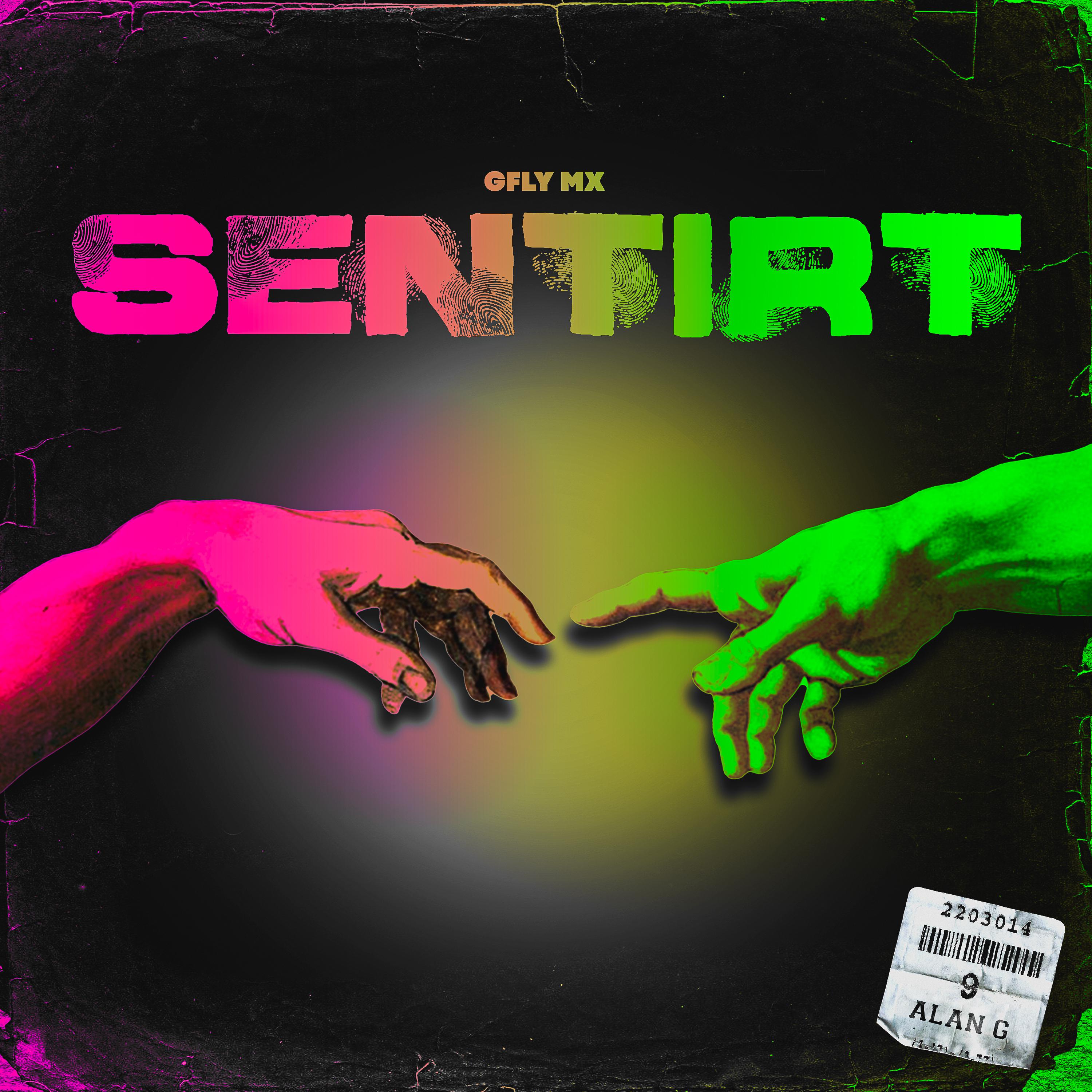 Постер альбома Sentir T