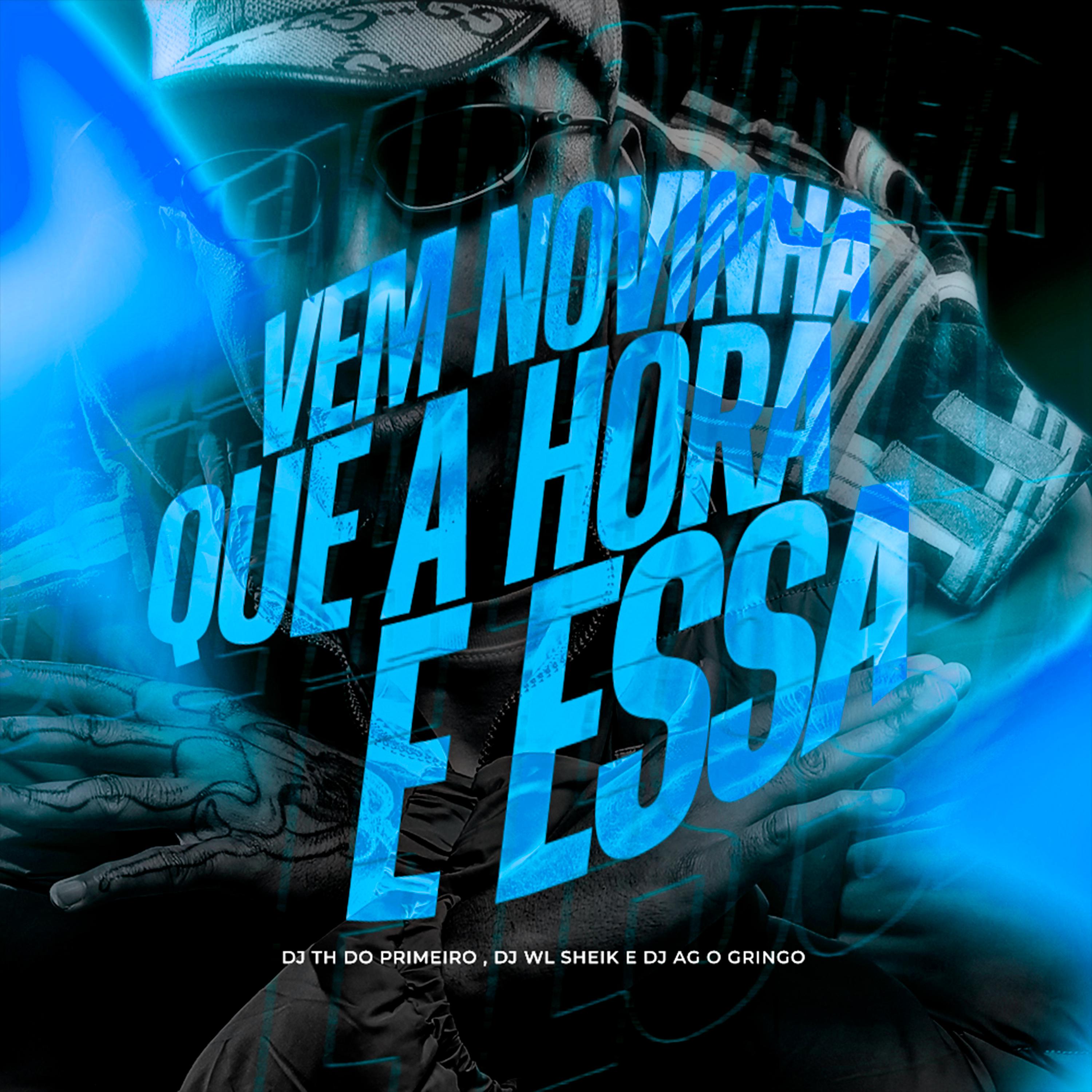 Постер альбома Vem Novinha Que a Hora É Essa (Slowed)