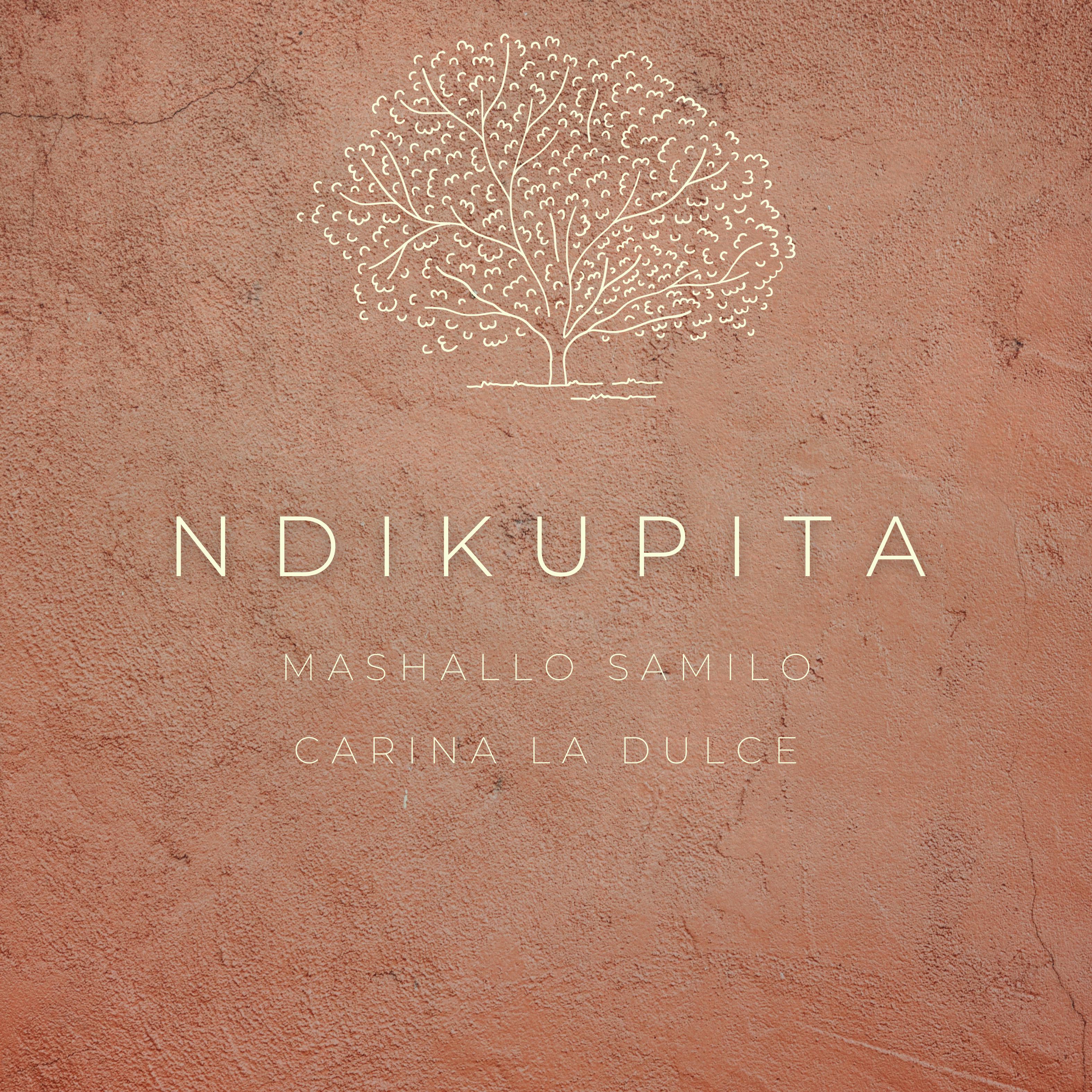 Постер альбома Ndikupita