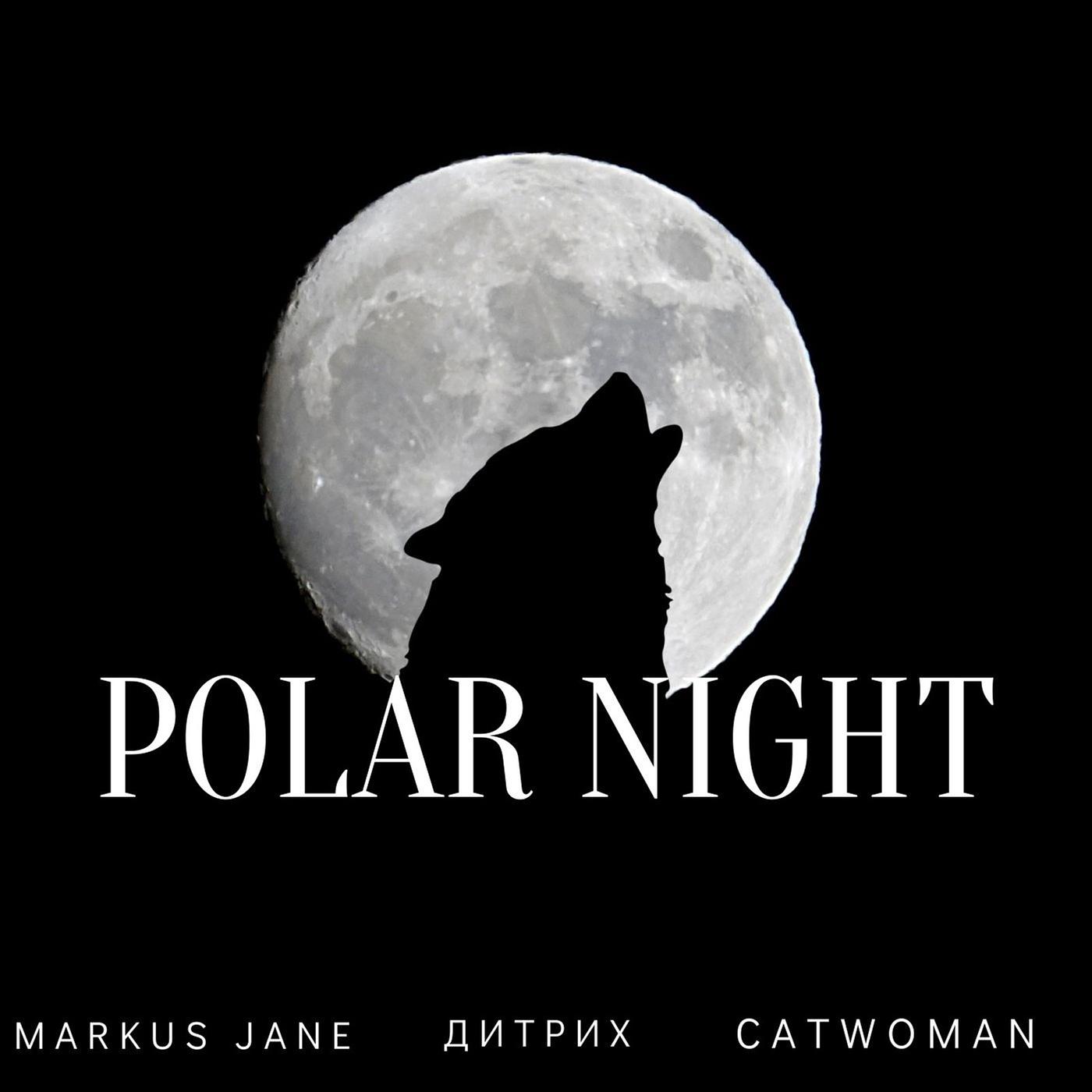 Постер альбома Polar Night