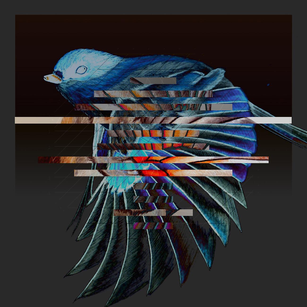 Adama - Imladris