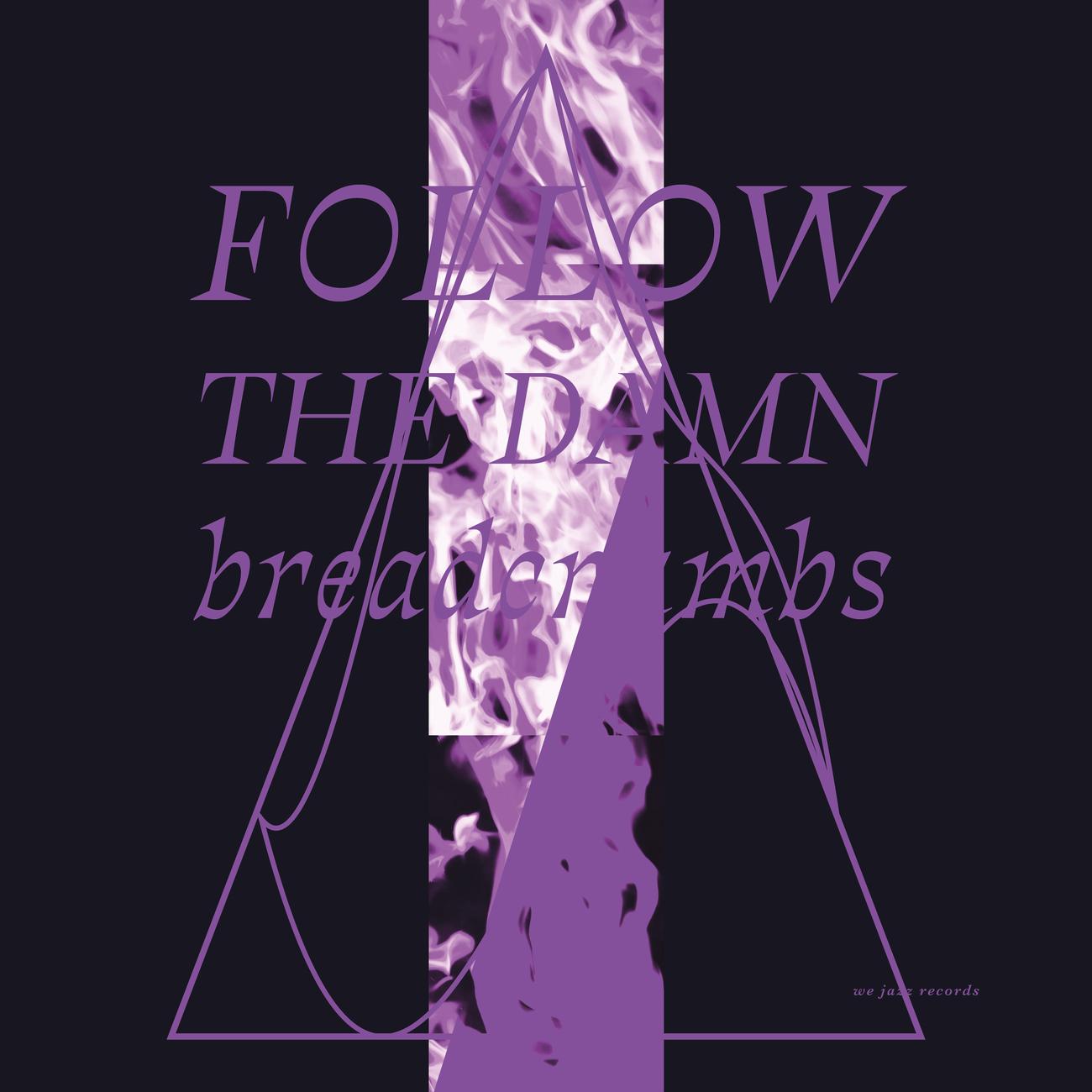 Постер альбома Follow the Damn Breadcrumbs