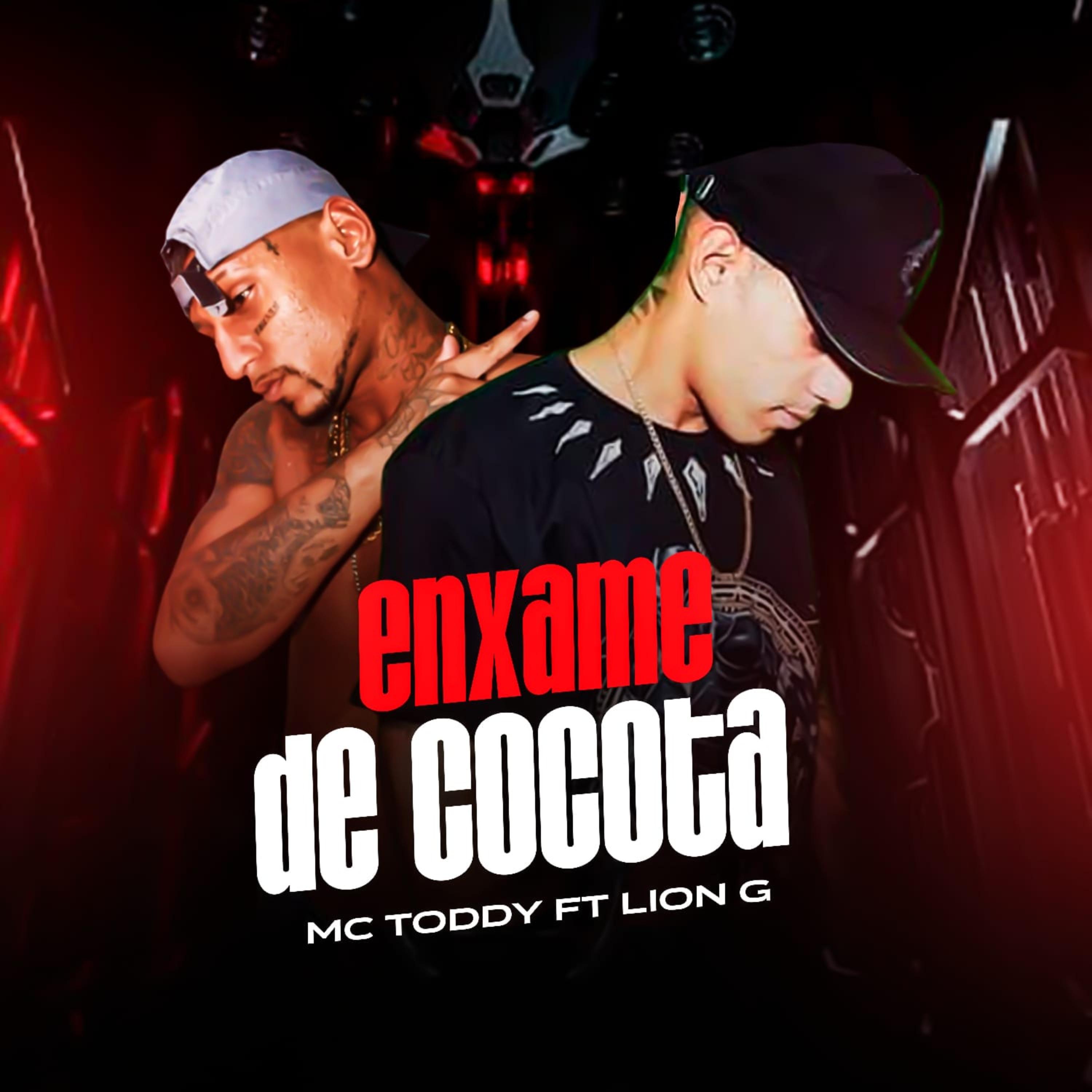 Постер альбома Enxame de Cocota