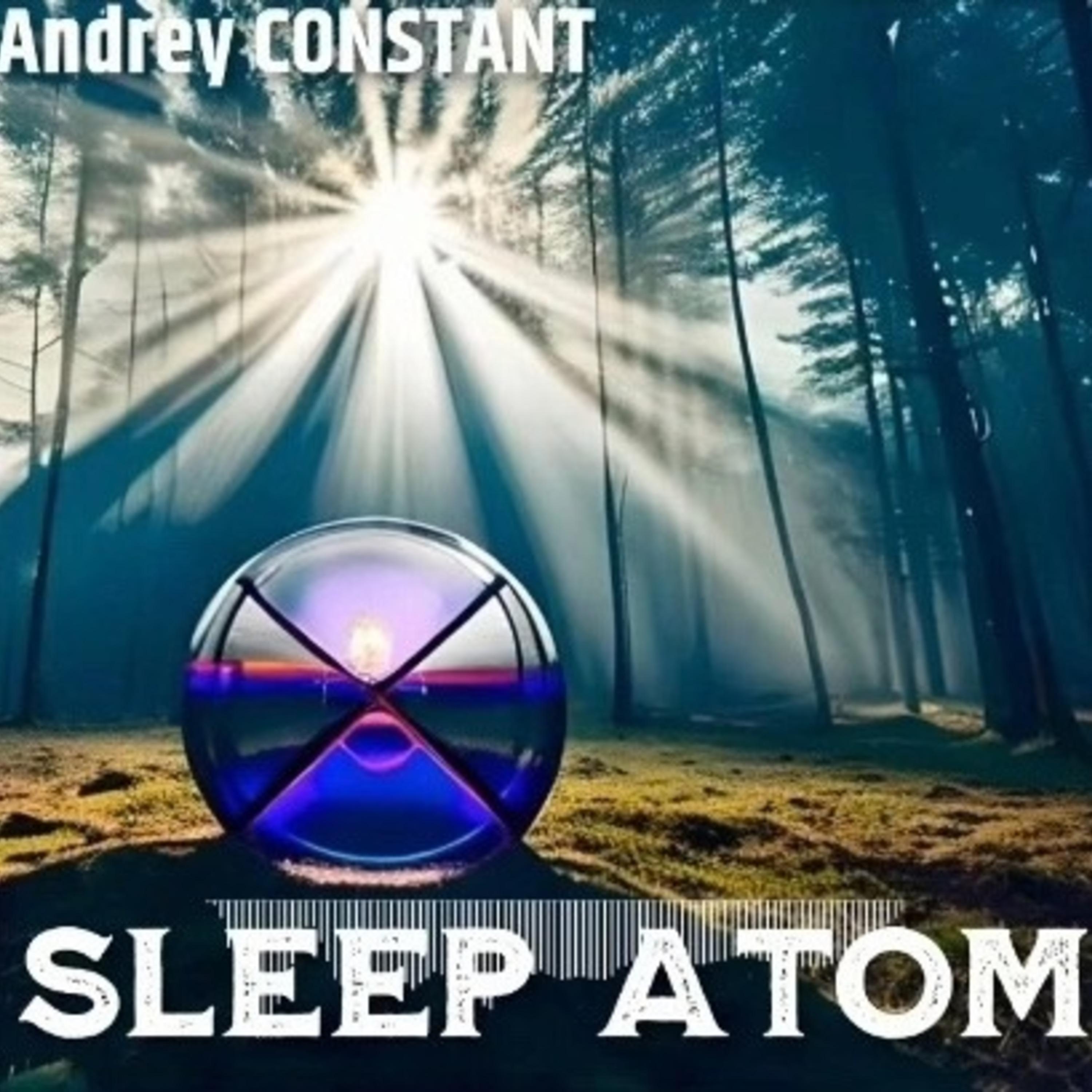 Постер альбома Sleep Atom