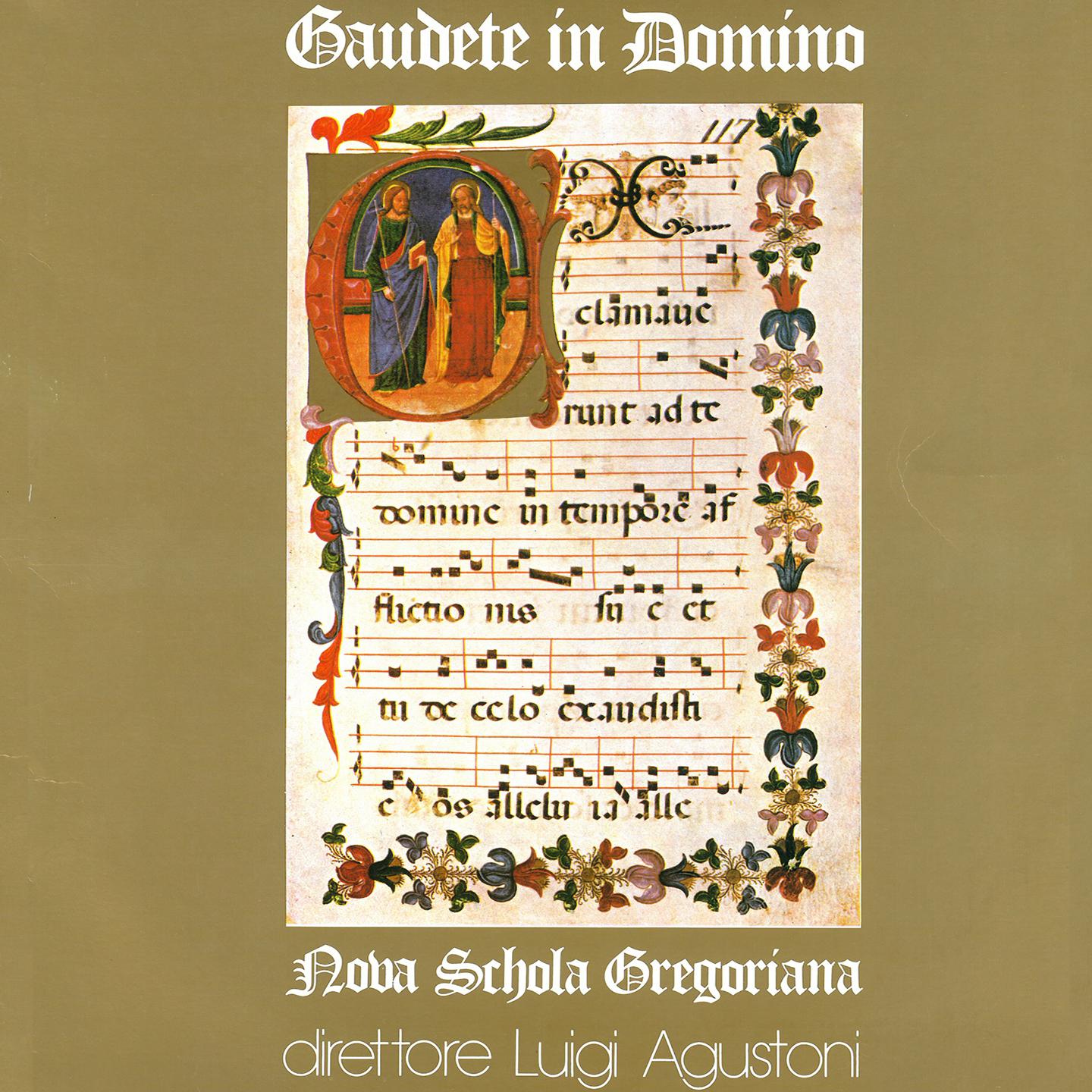 Постер альбома Gaudete in Domino