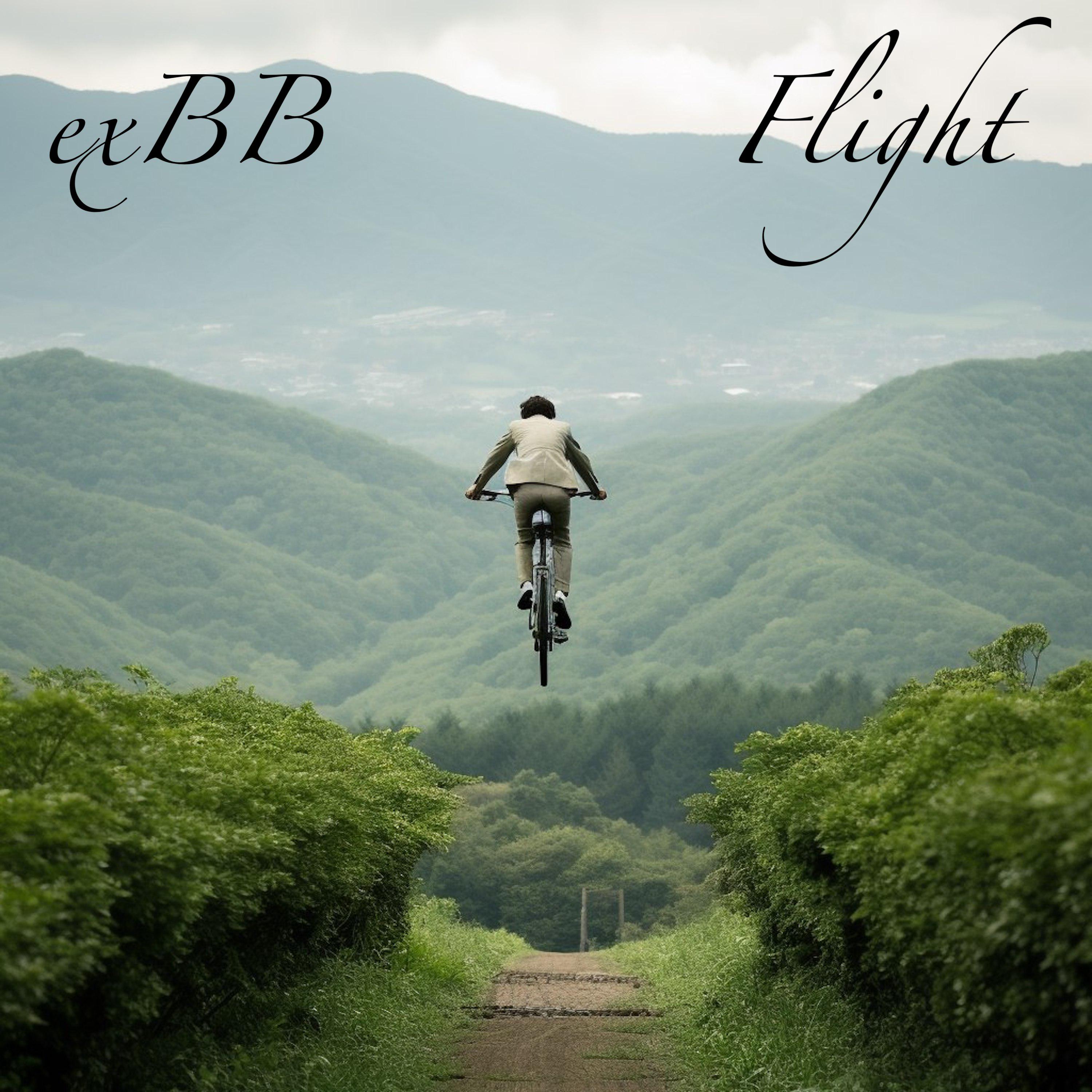 Постер альбома Flight