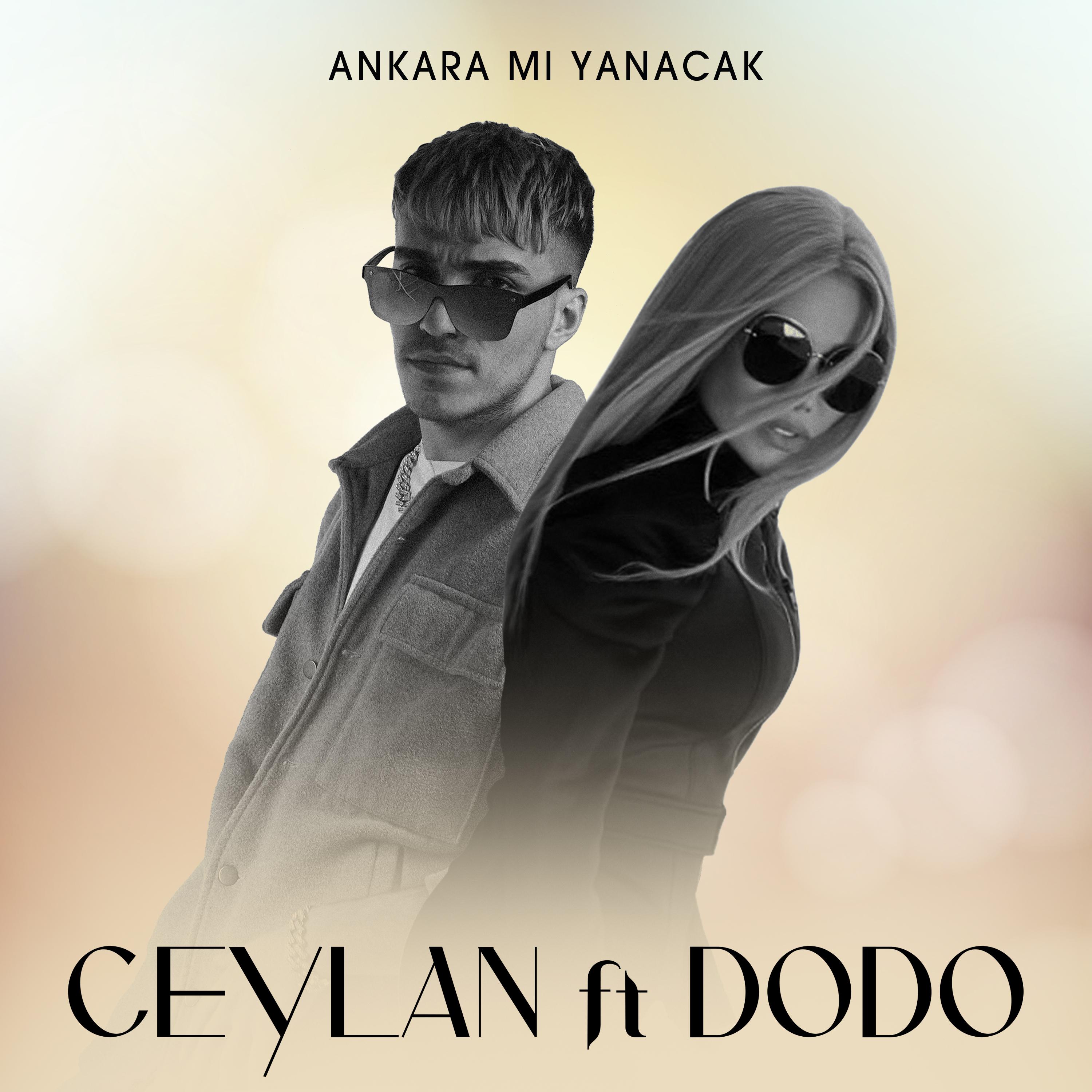Постер альбома Ankara Mı Yanacak