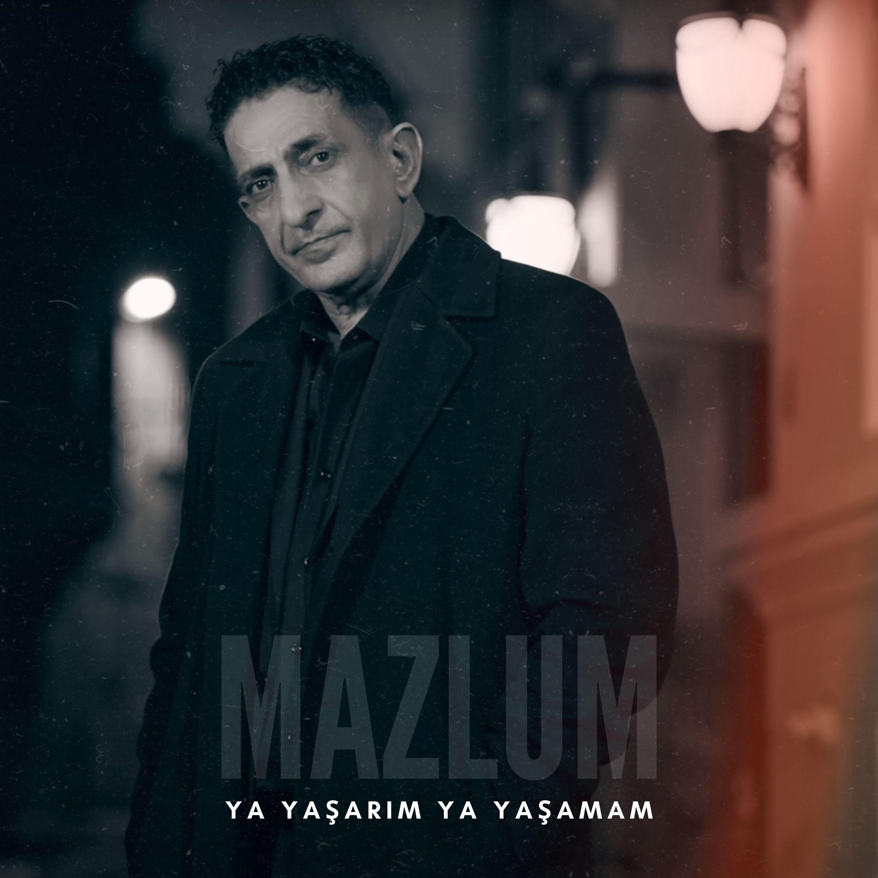 Постер альбома Ya Yaşarım Ya Yaşamam