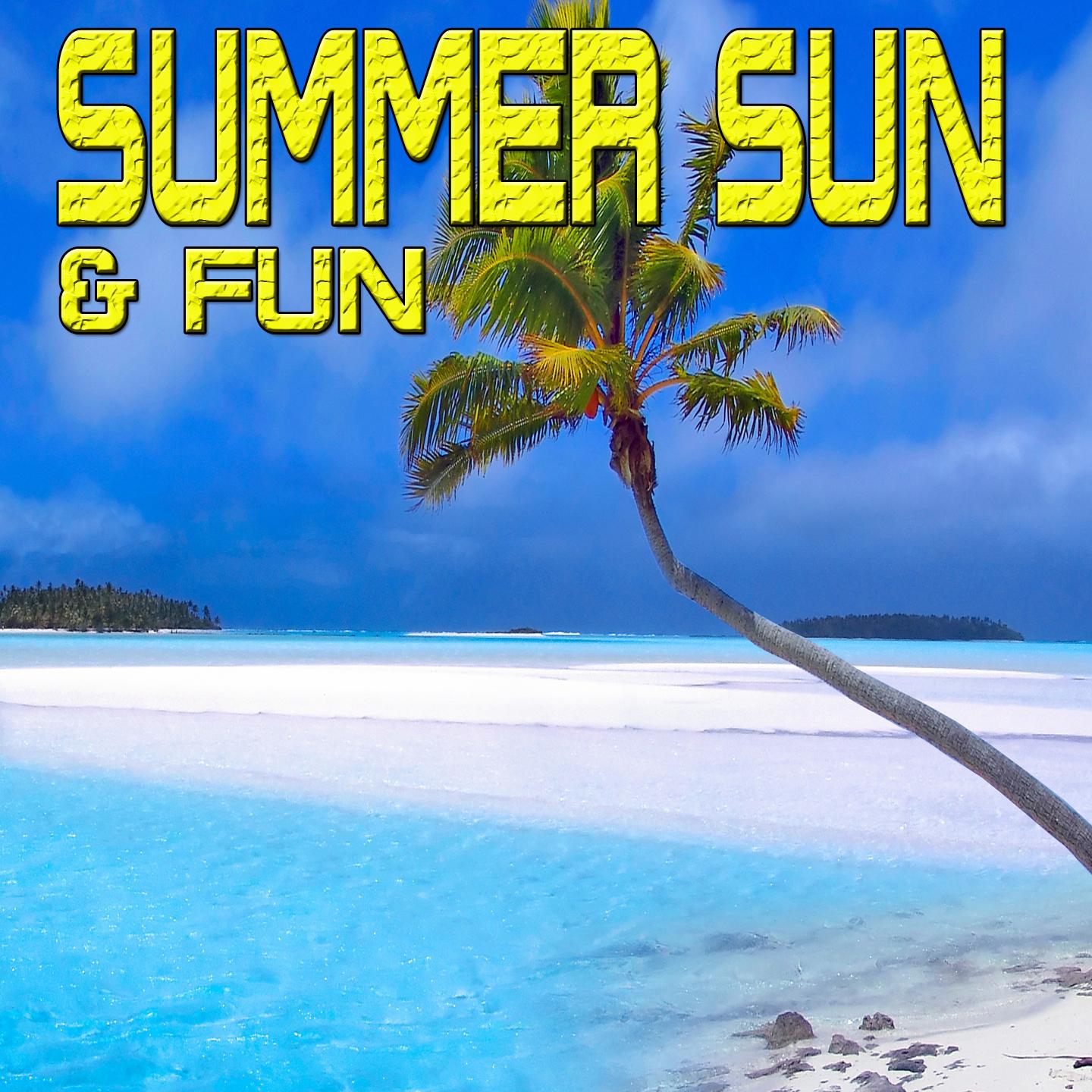 Постер альбома Summer Sun & Fun