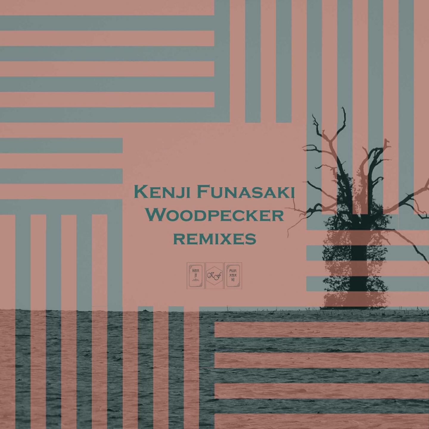 Kenji Funasaki - Woodpecker (O-Kok Remix)