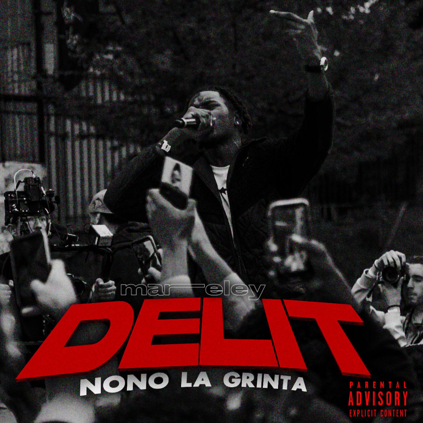 Постер альбома Délit (Alternative Version)