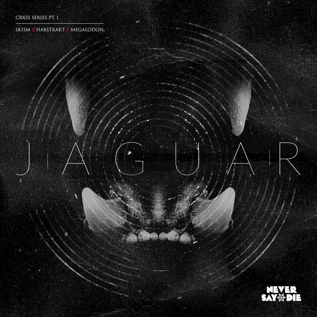 SKisM - Jaguar
