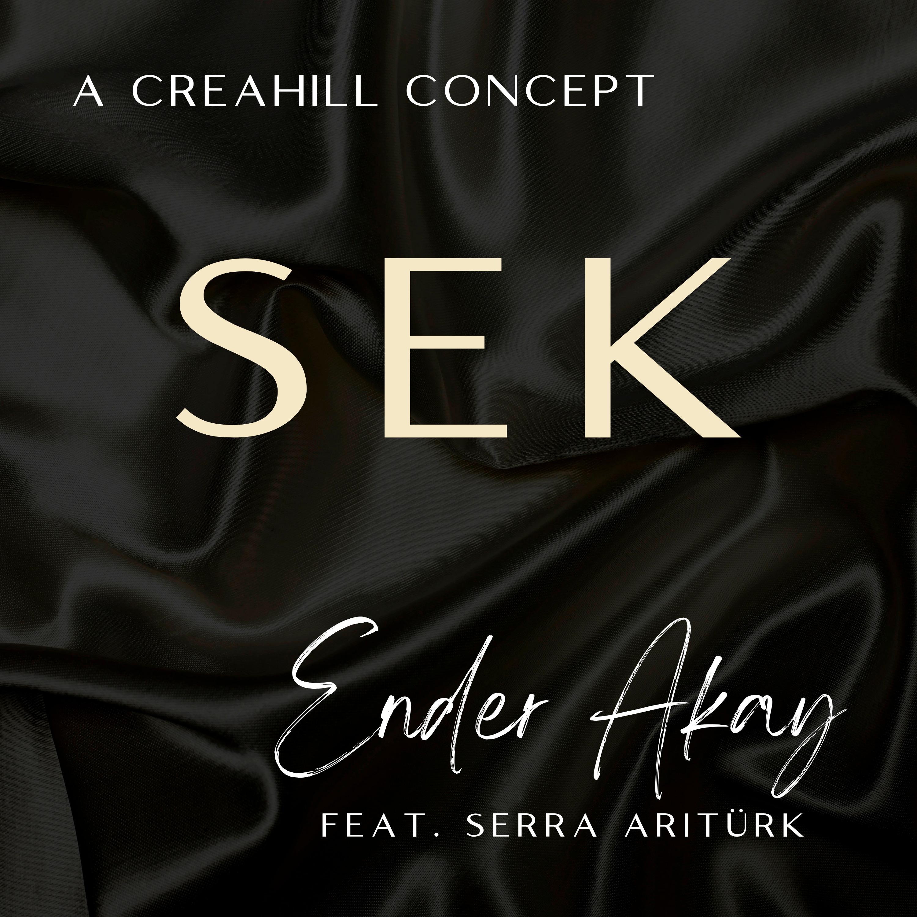 Постер альбома Sek