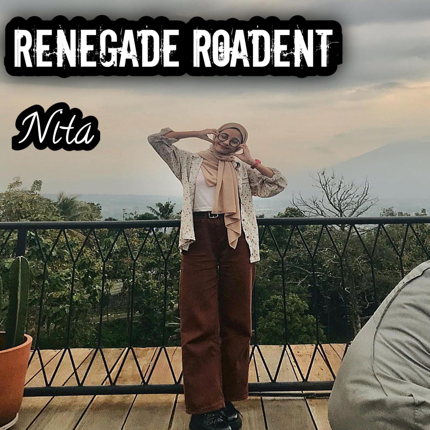 Постер альбома Renegade Roadent