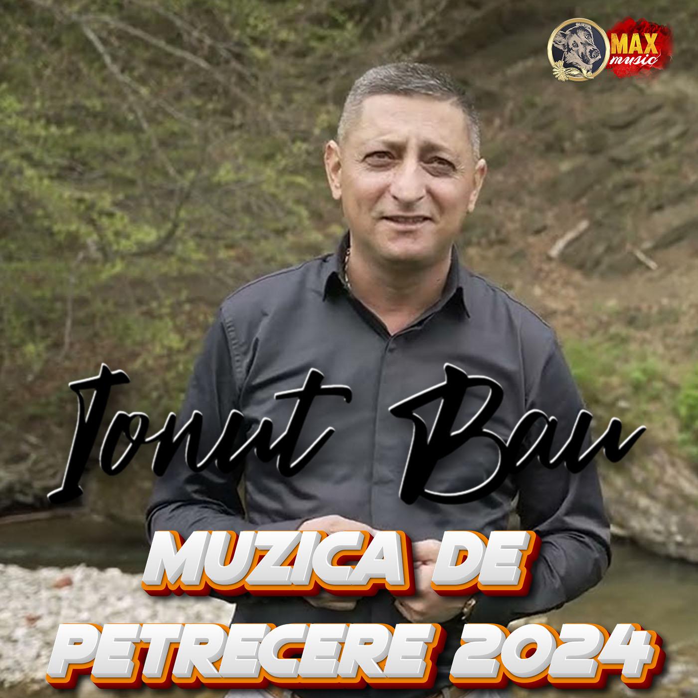 Постер альбома Muzica de Petrecere 2024