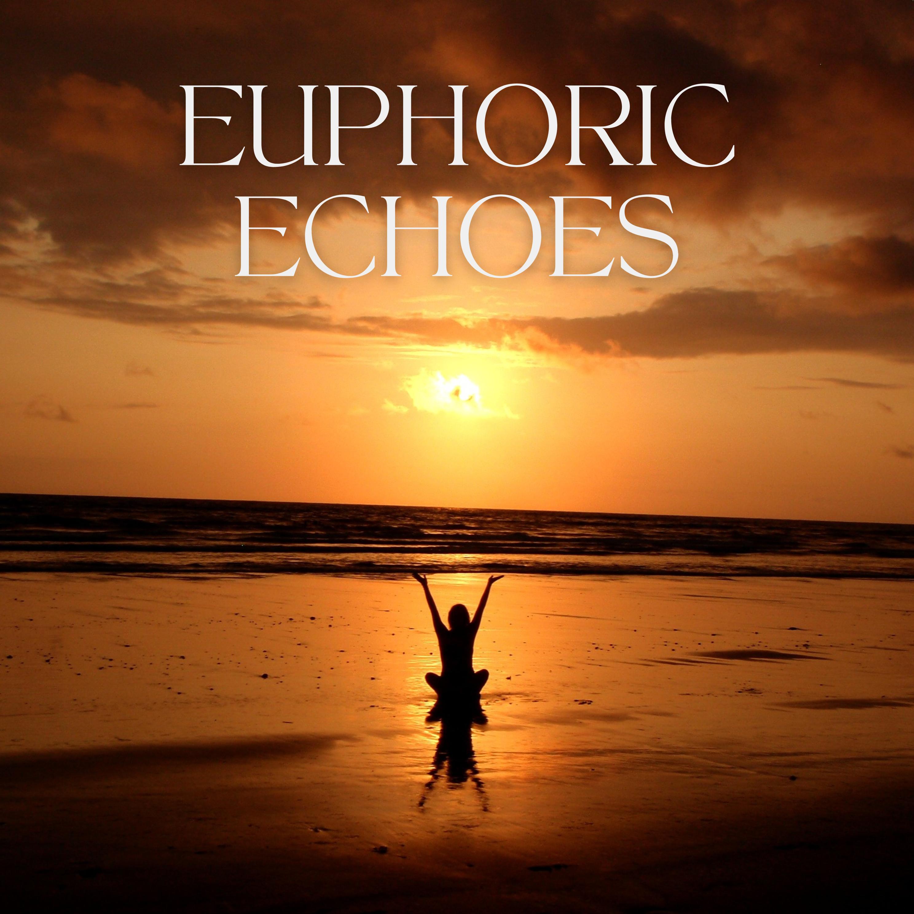 Постер альбома Euphoric Echoes