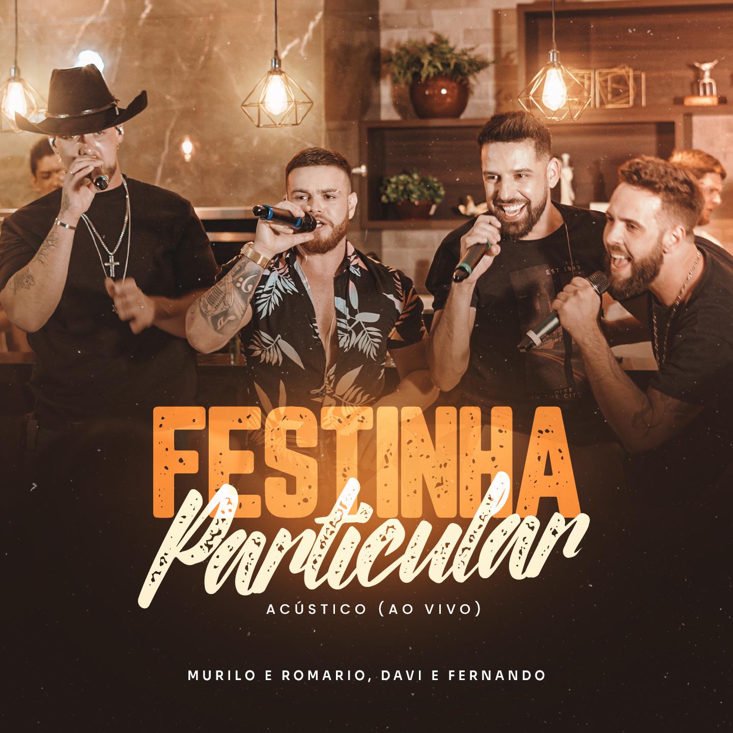 Постер альбома Festinha Particular