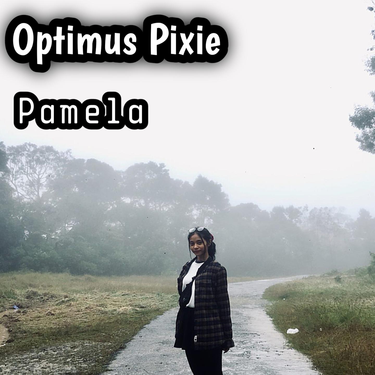 Постер альбома Optimus Pixie