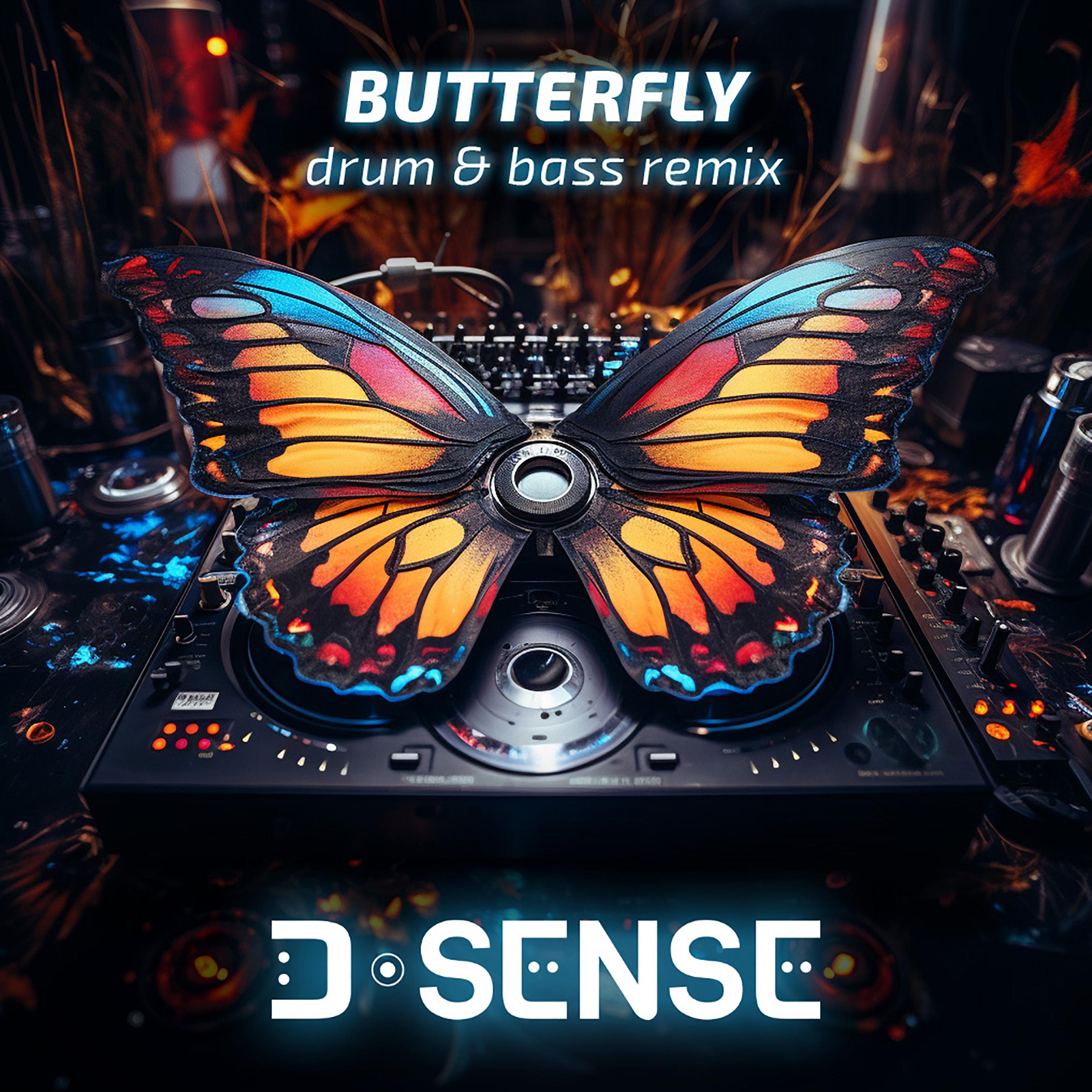 Постер альбома Butterfly (Drum & Bass Remix)