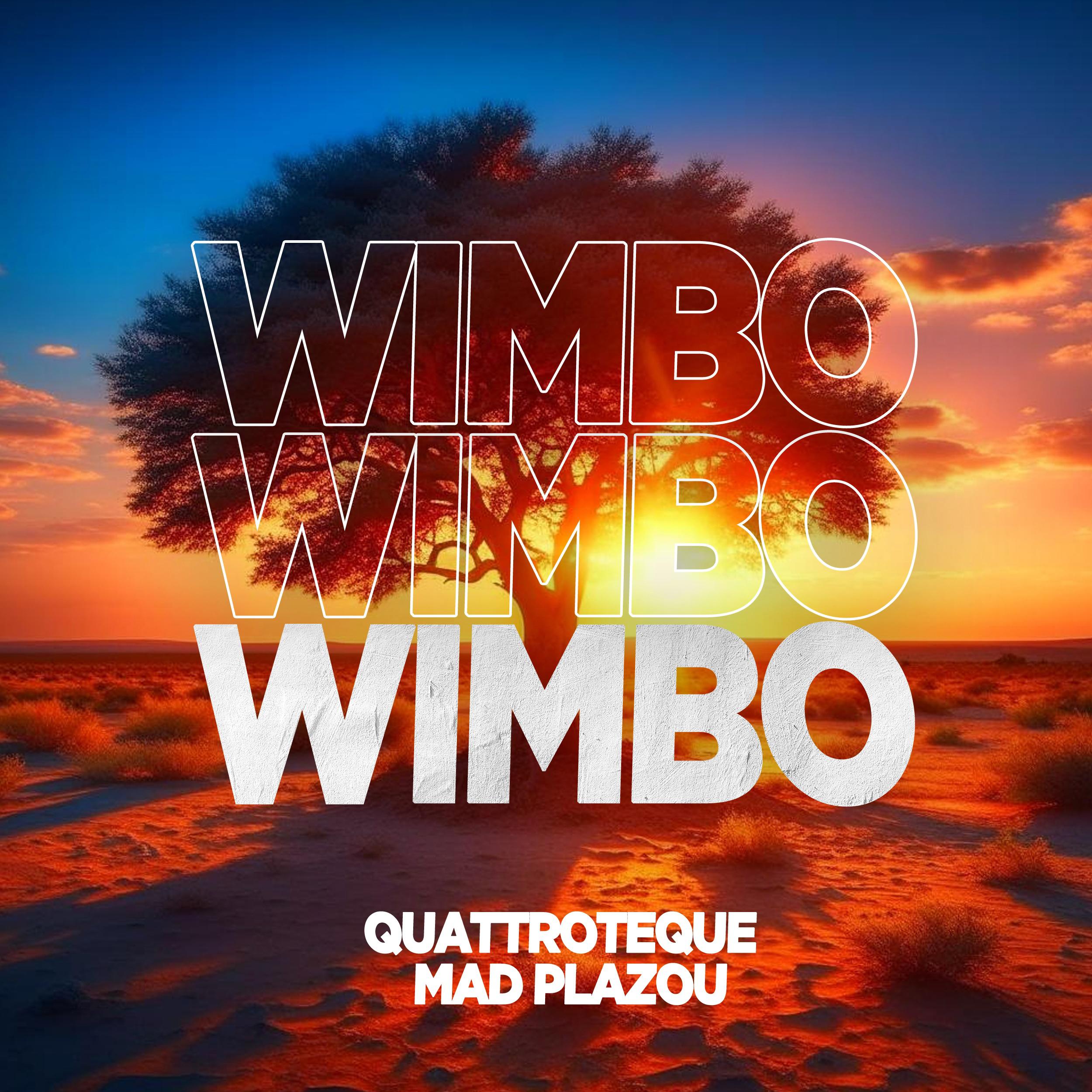 Постер альбома Wimbo