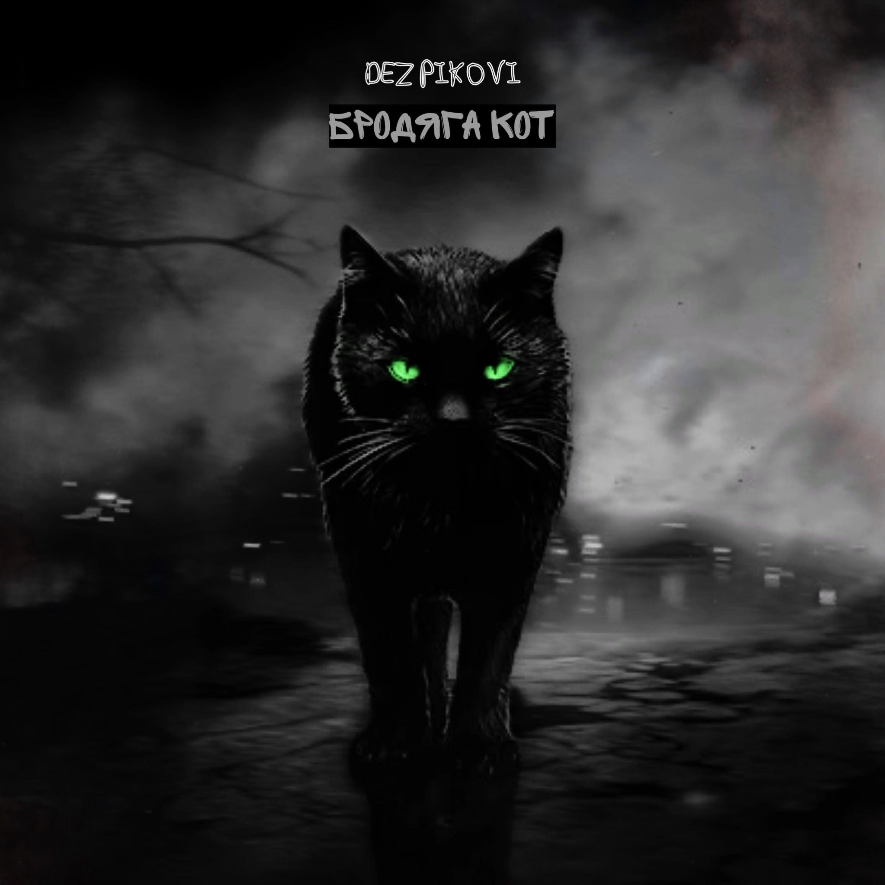 Постер альбома Бродяга кот