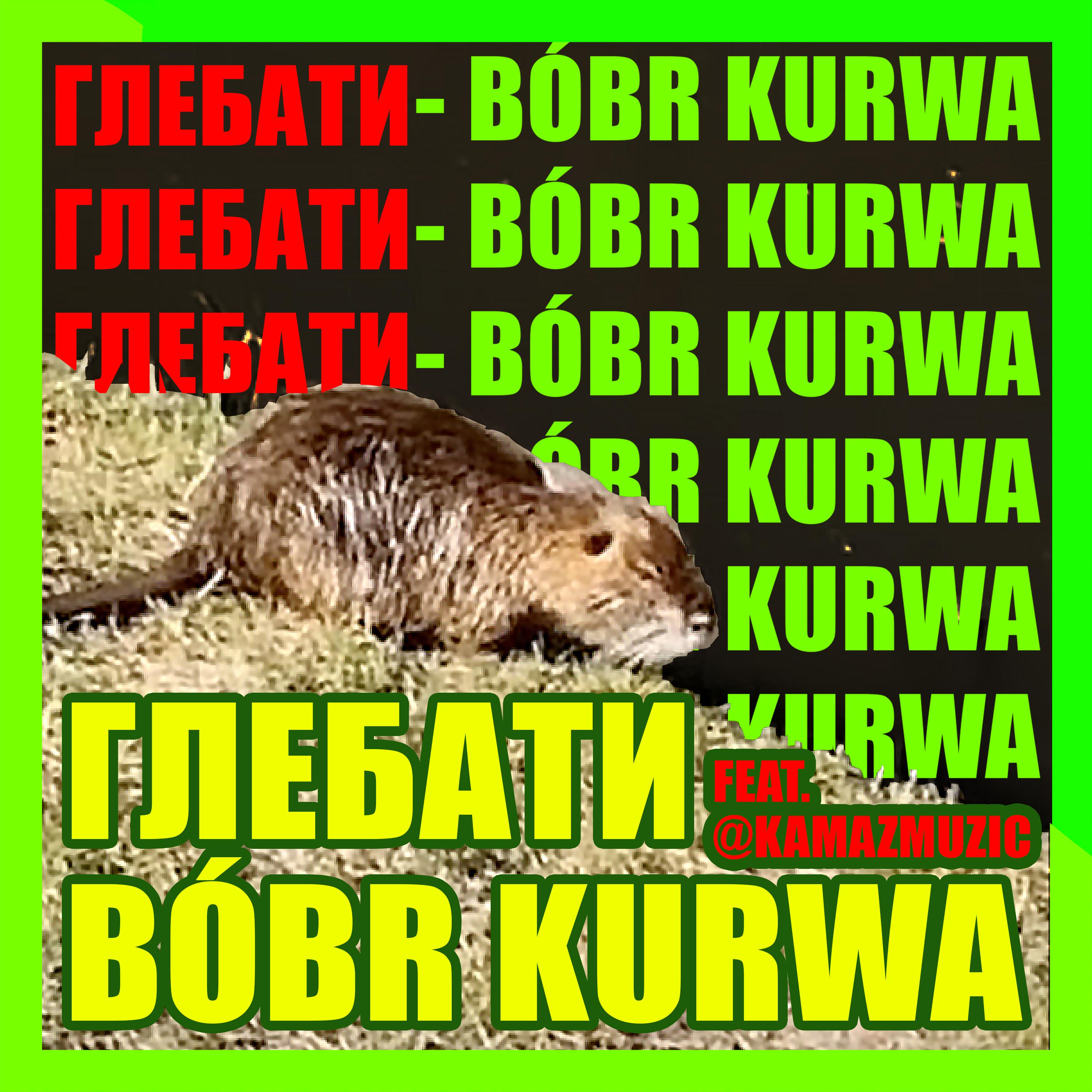 Постер альбома Bóbr kurwa