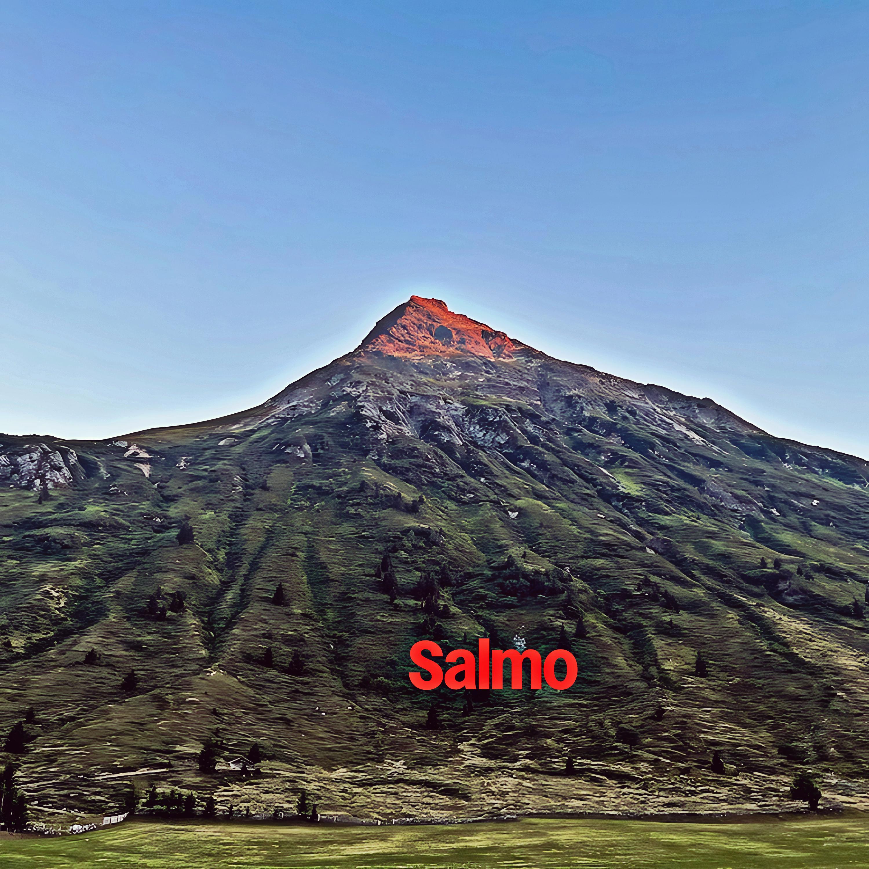 Постер альбома Salmo