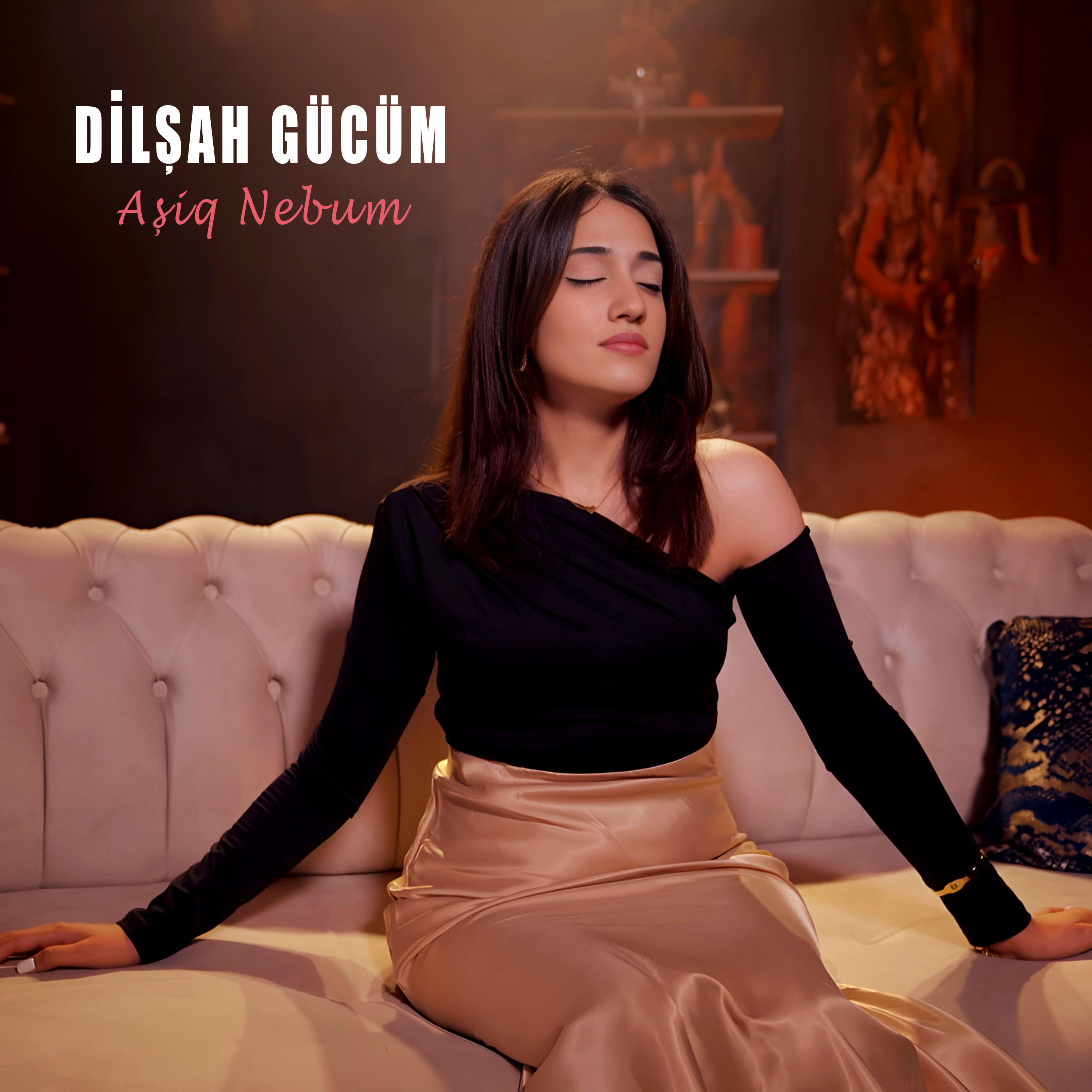Постер альбома Aşiq Nebum
