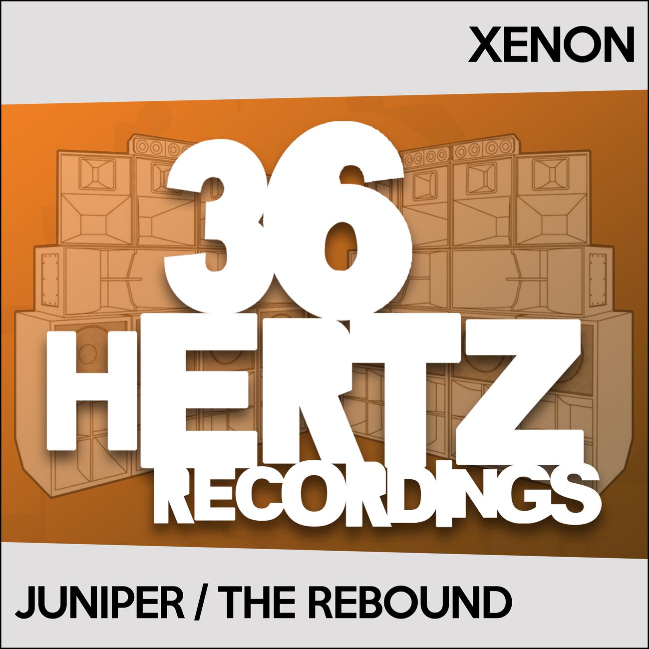 Постер альбома Juniper / The Rebound