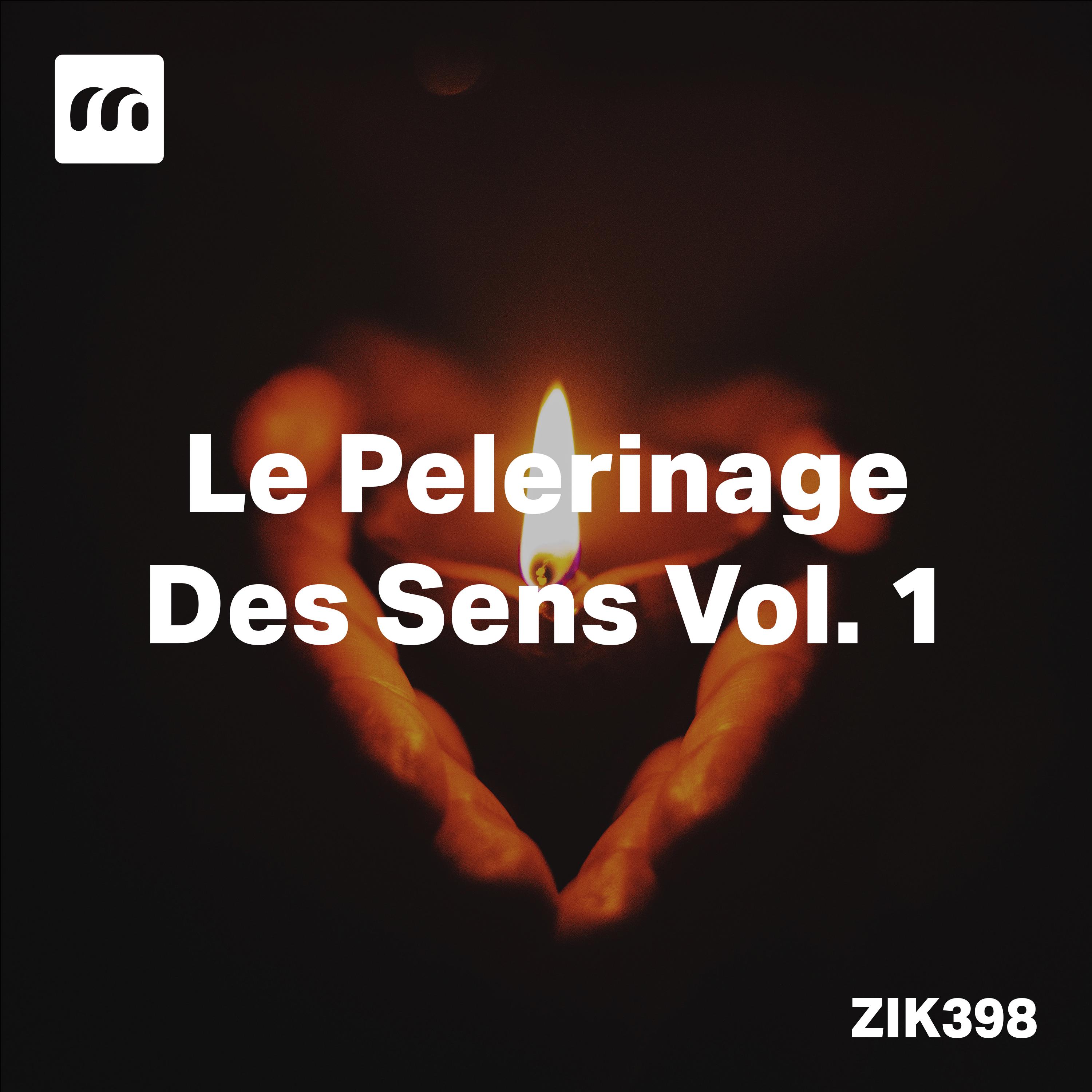 Постер альбома Le Pelerinage Des Sens, vol. 1