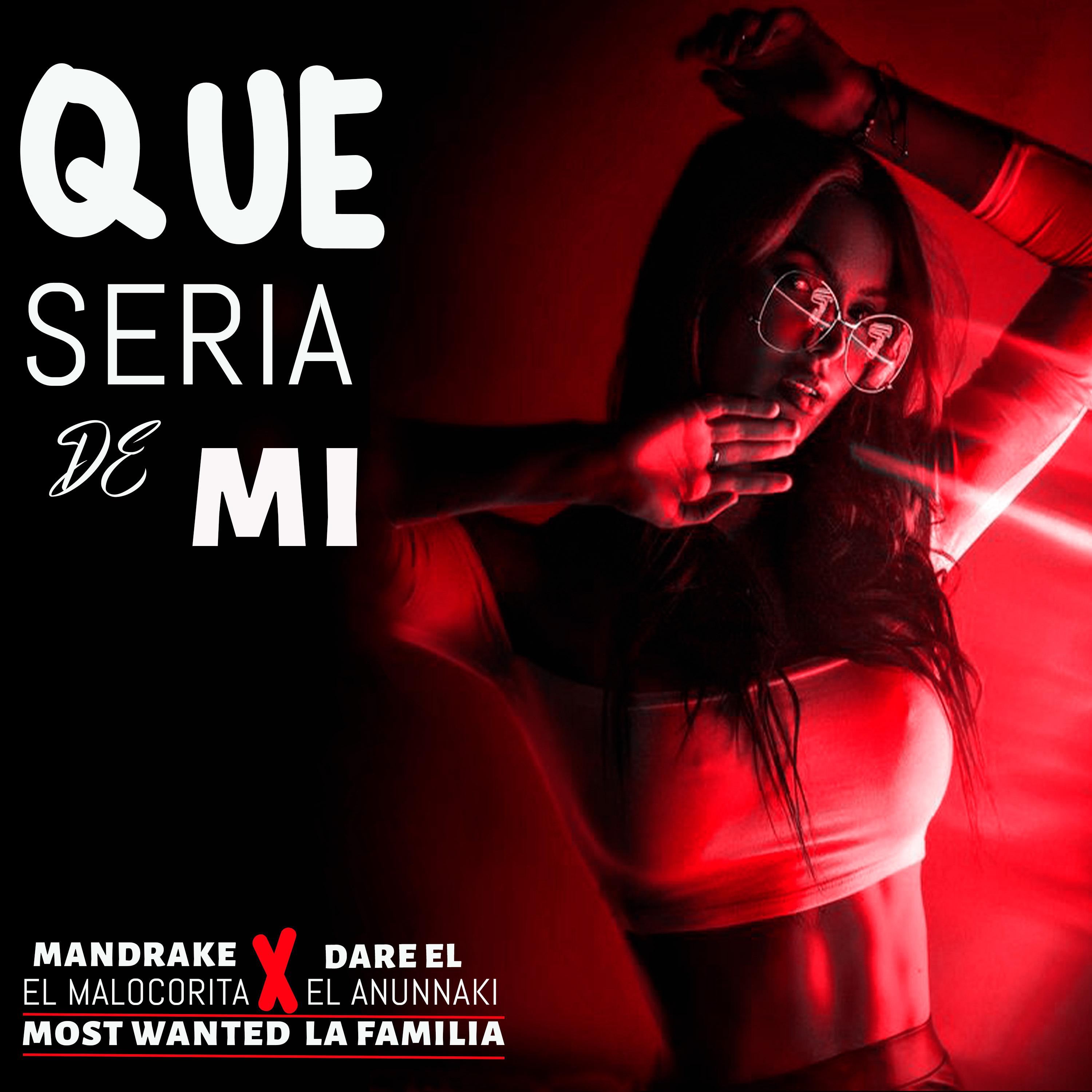 Постер альбома Que Seria de Mi