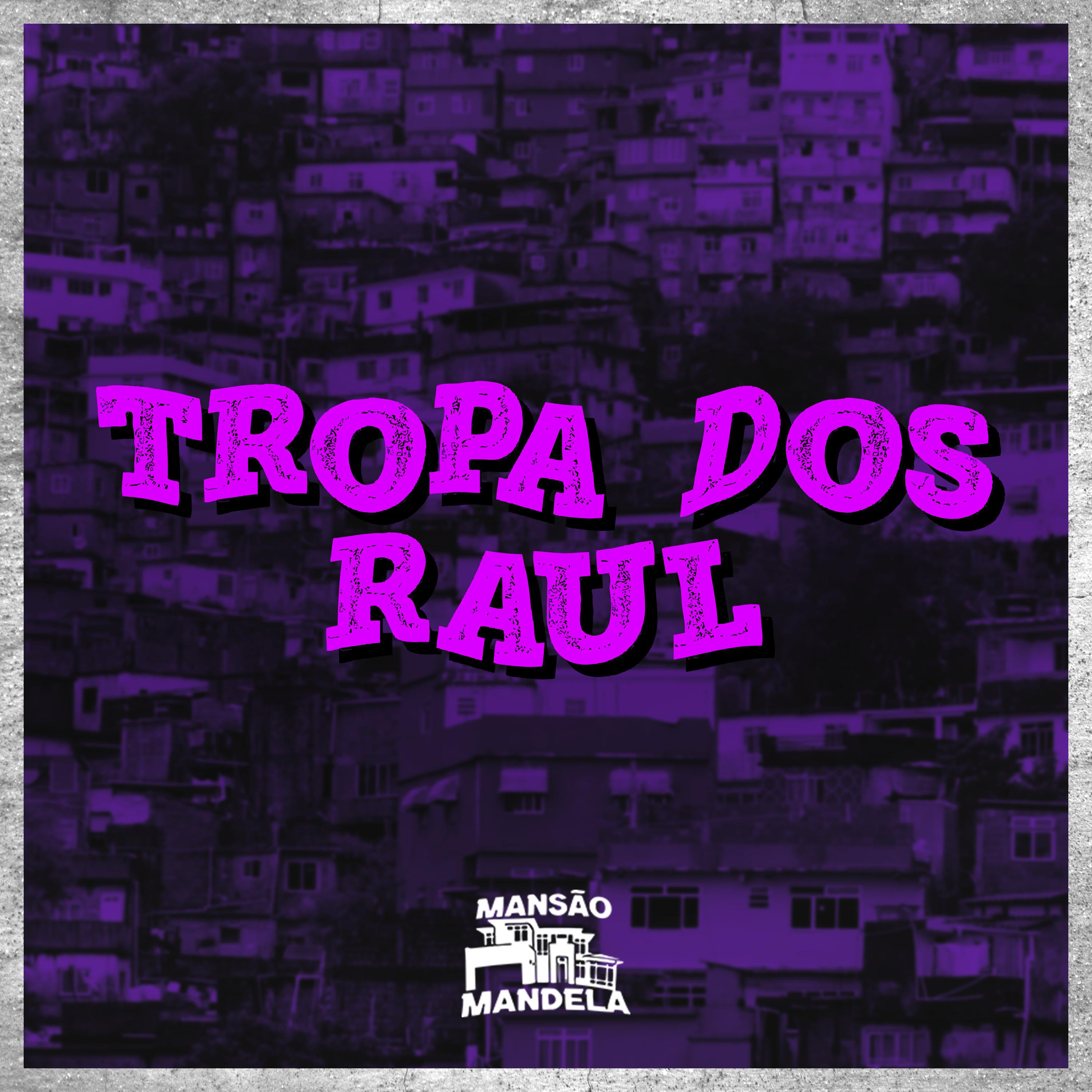 Постер альбома Tropa dos Raul