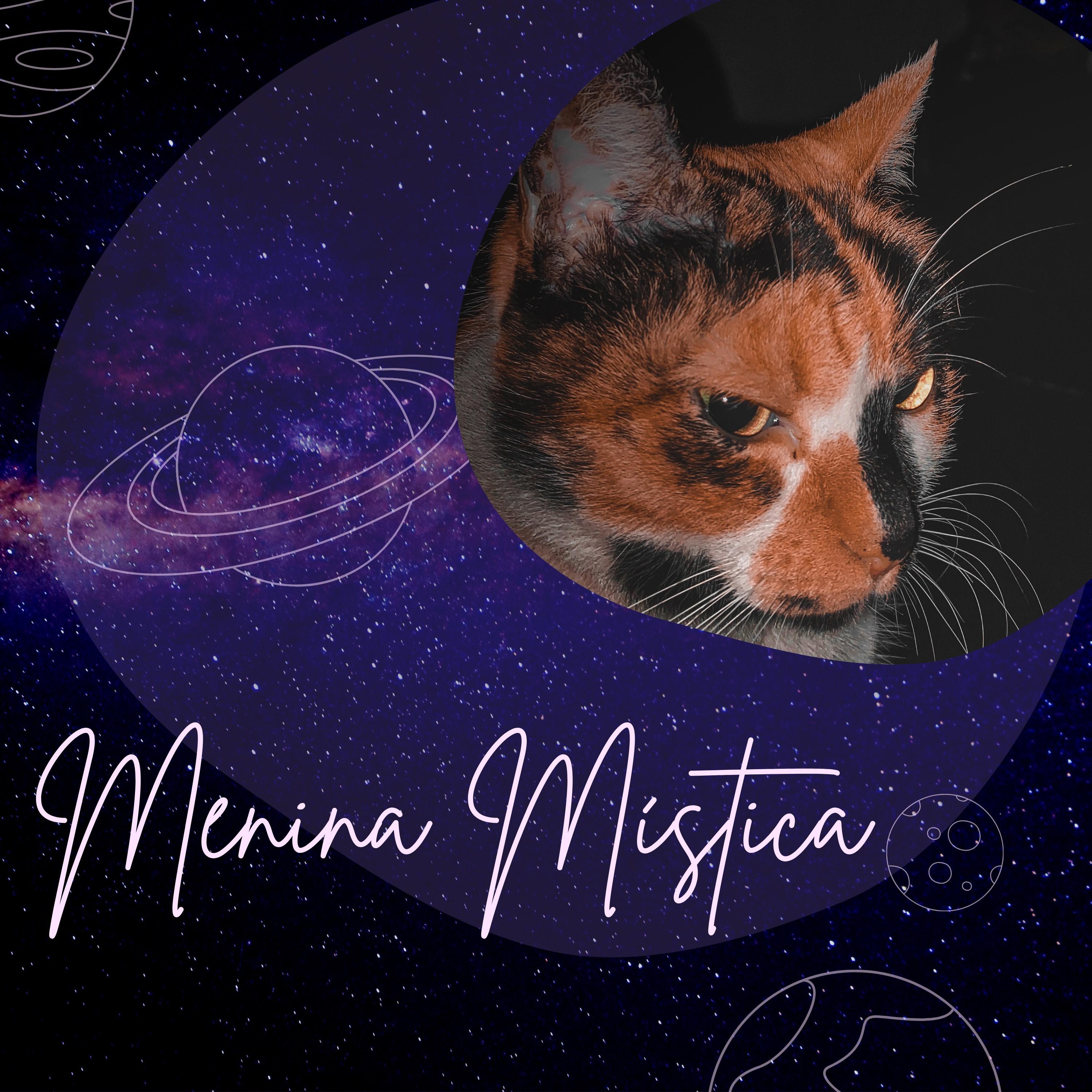 Постер альбома Menina Mística