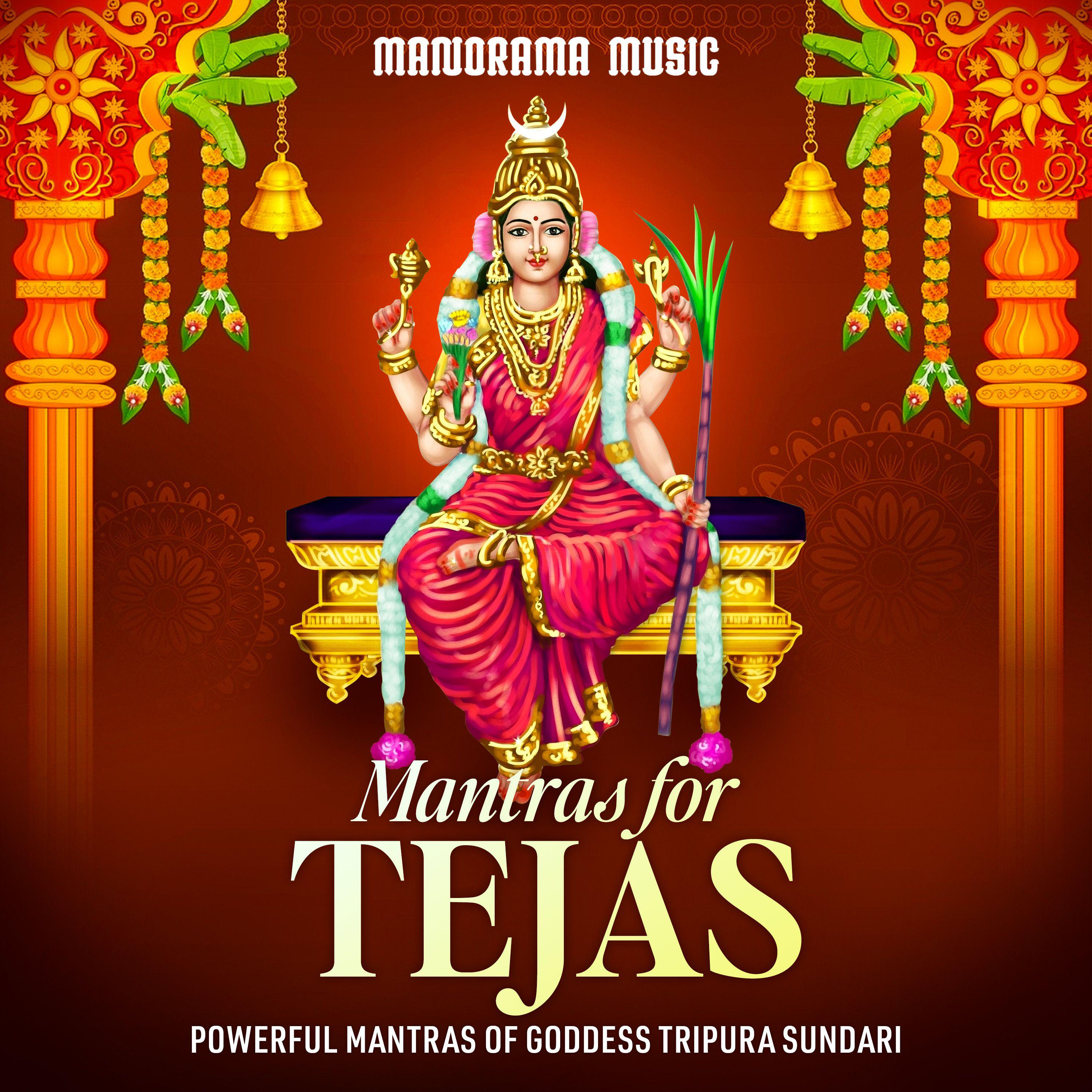 Постер альбома Mantras for Tejas