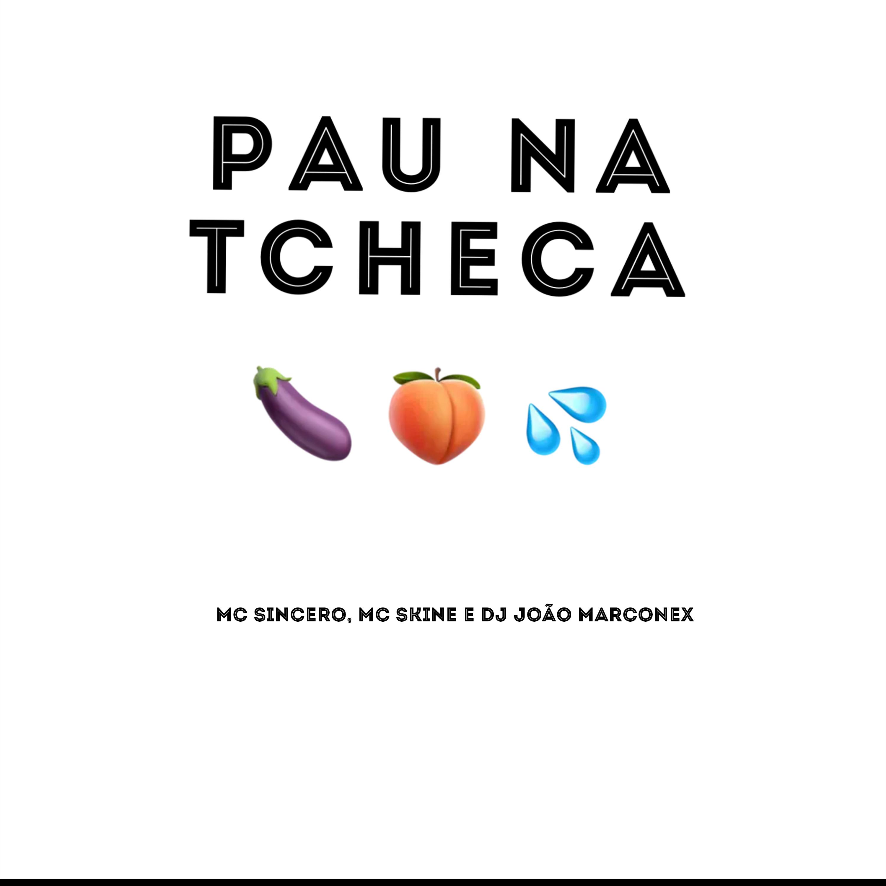Постер альбома Pau na Tcheca