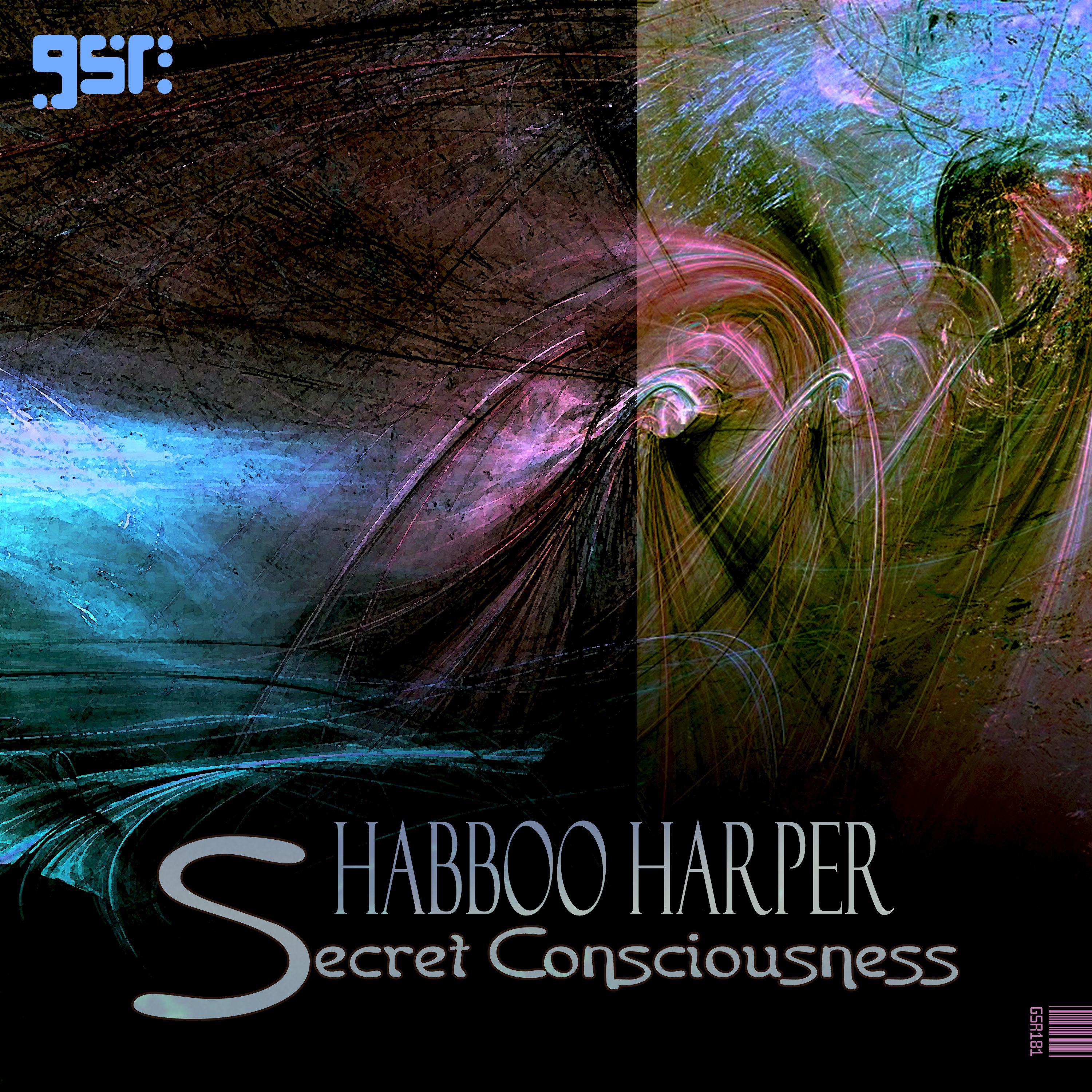 Постер альбома Secret Consciousness