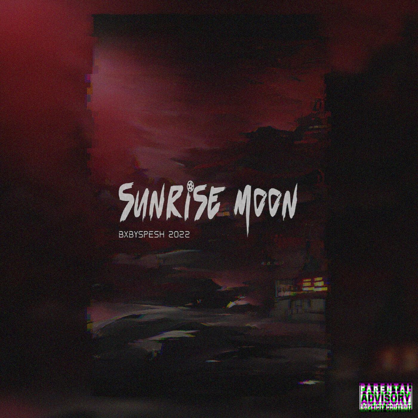 Постер альбома Sunrise Moon