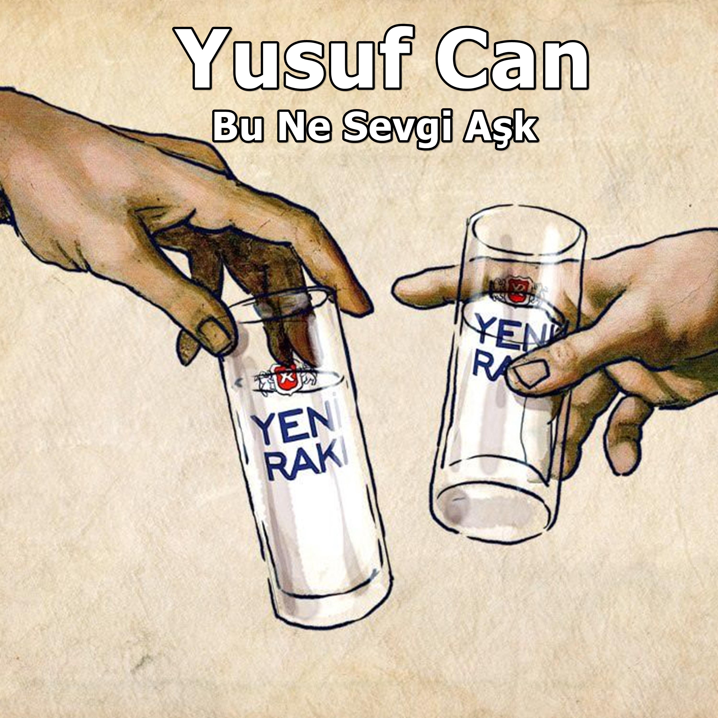 Постер альбома Bu Ne Sevgi Aşk