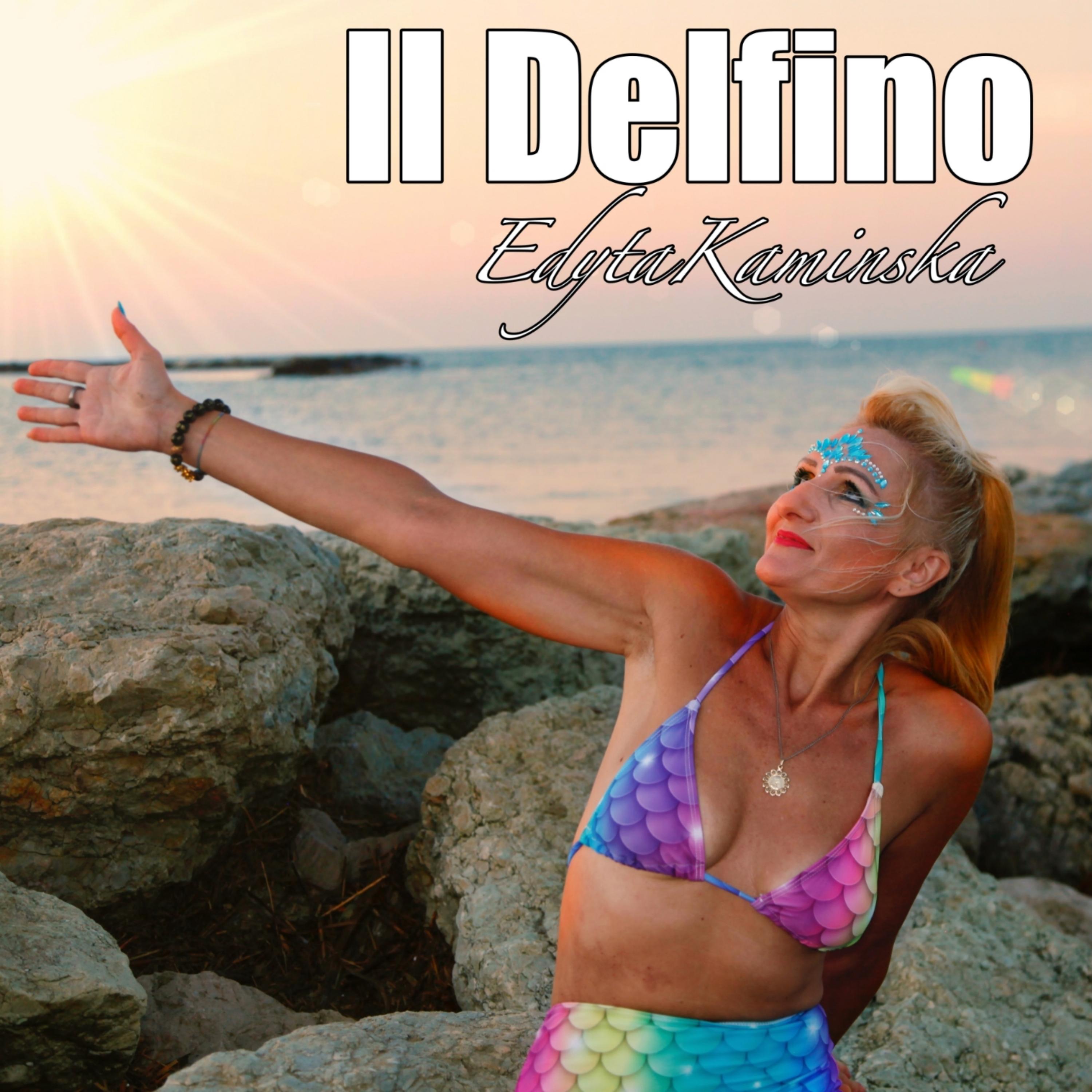Постер альбома Il delfino