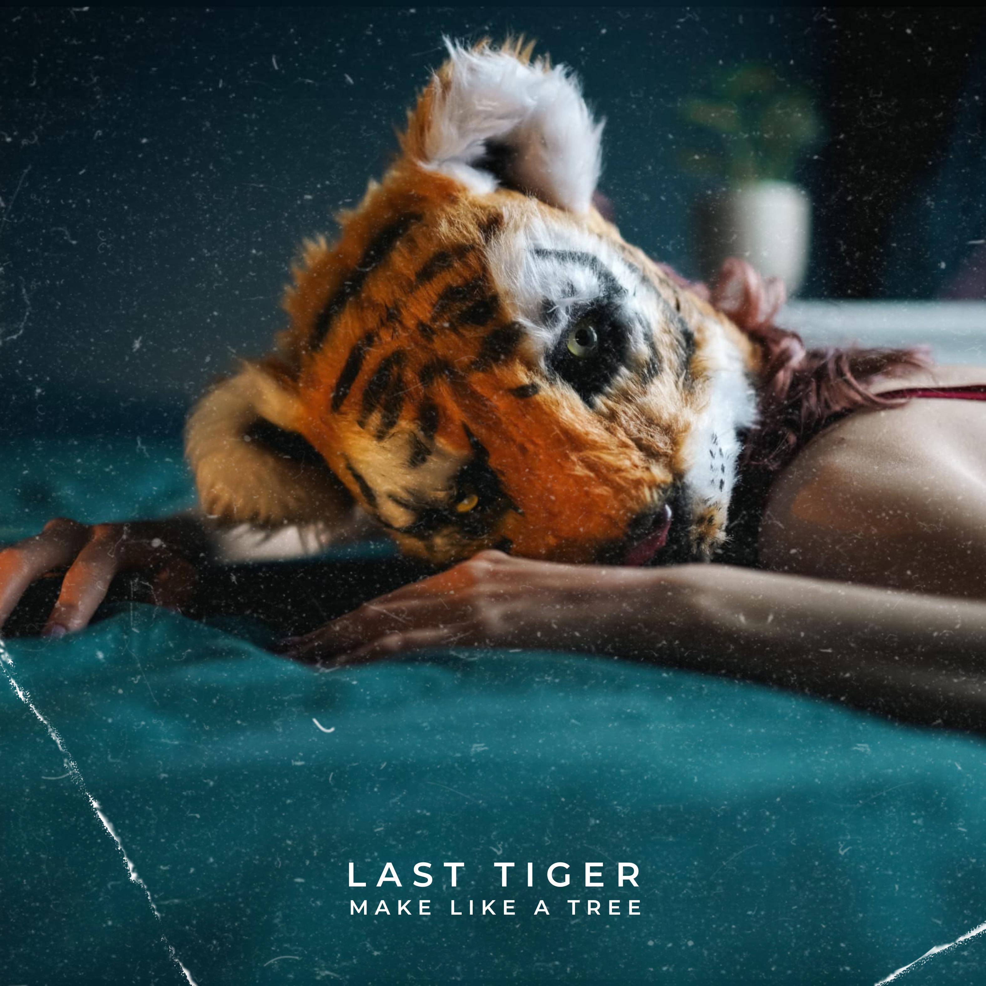 Постер альбома Last Tiger