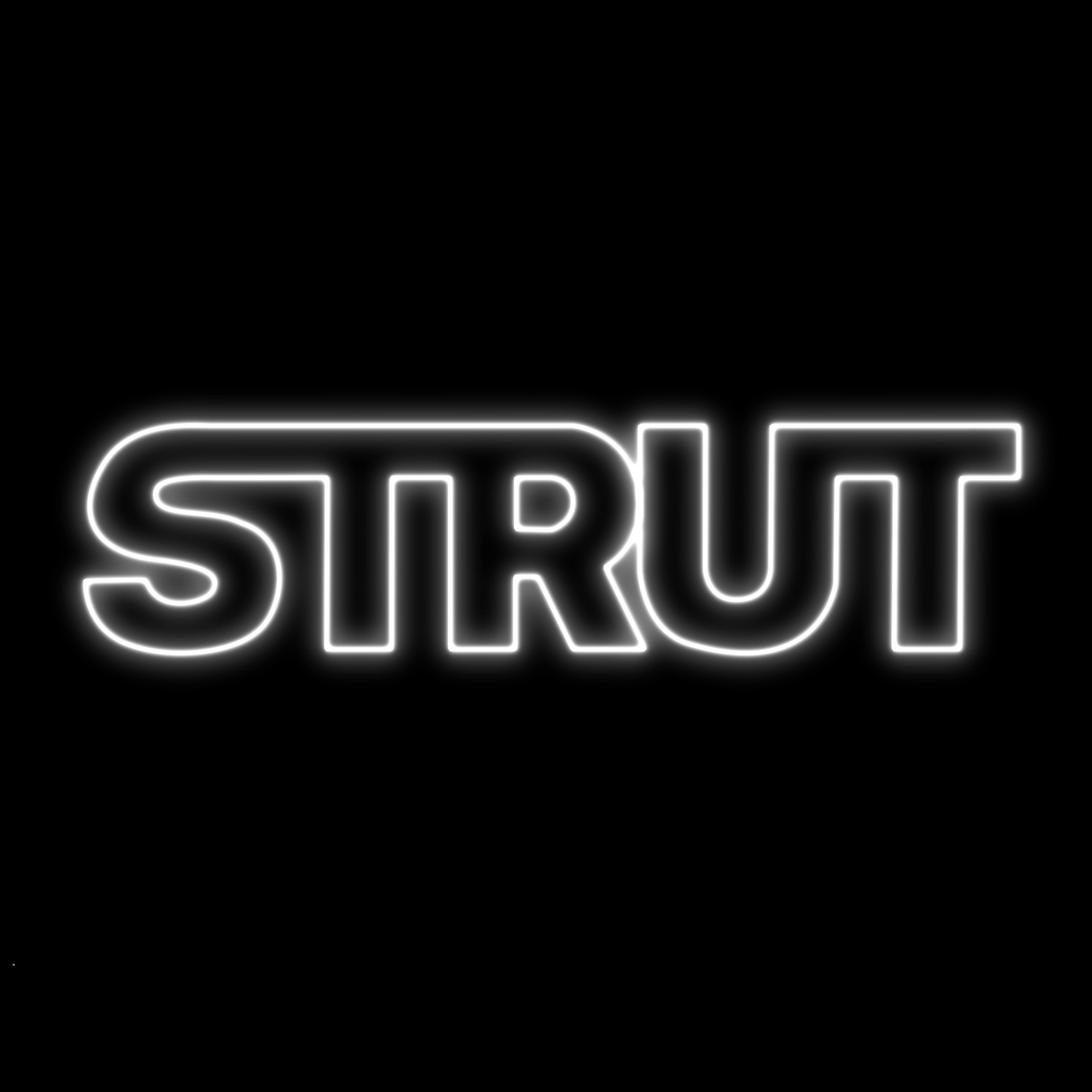 Постер альбома Strut (Slowed + Nightcore)